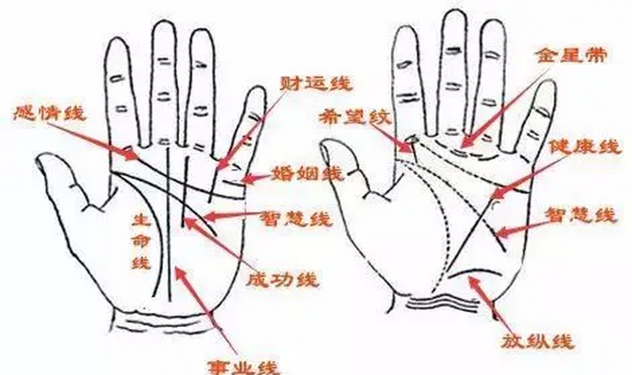 财运线弯弯曲曲,断断续续的线 财运不好,生活困苦 财运线弯弯曲或是断