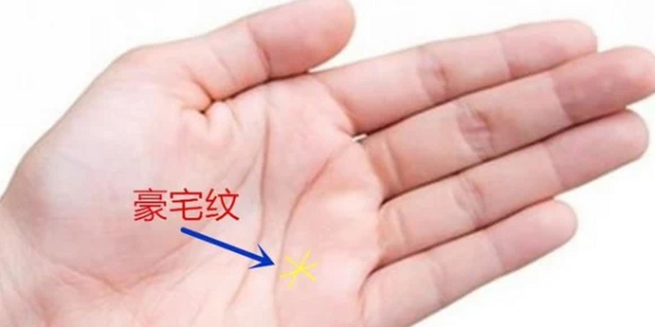 豪宅纹位于无名指的下方,在感情线的上方,还称作"金房子".