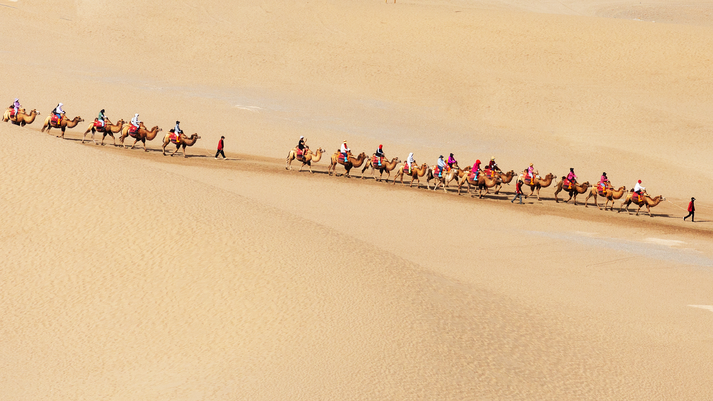 敦煌鸣沙山的骆驼队