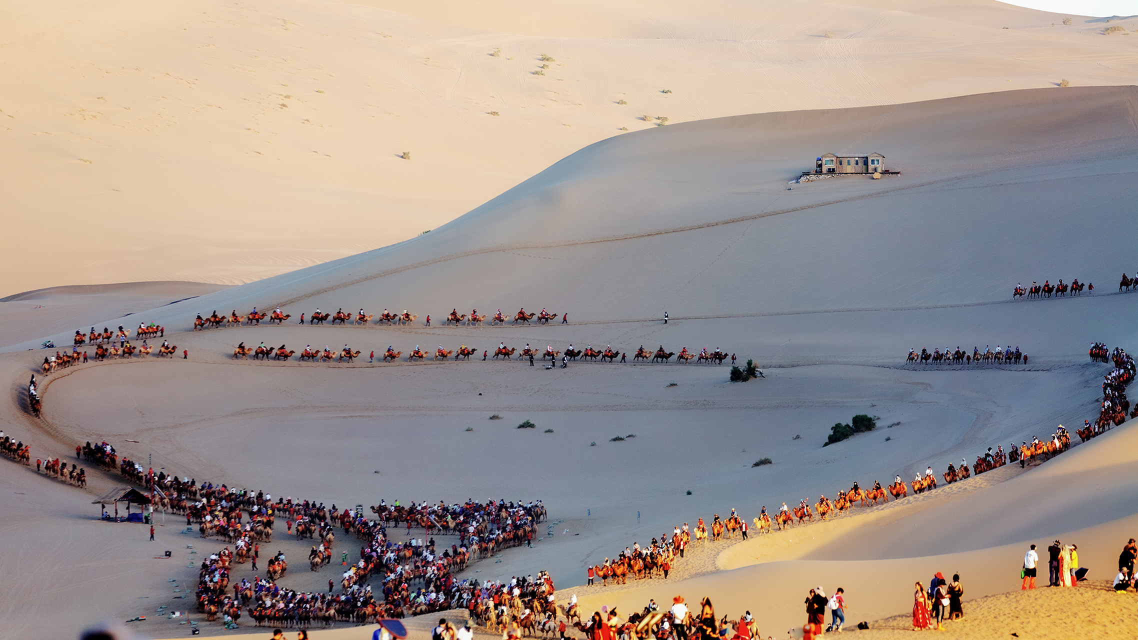 敦煌鸣沙山的骆驼队