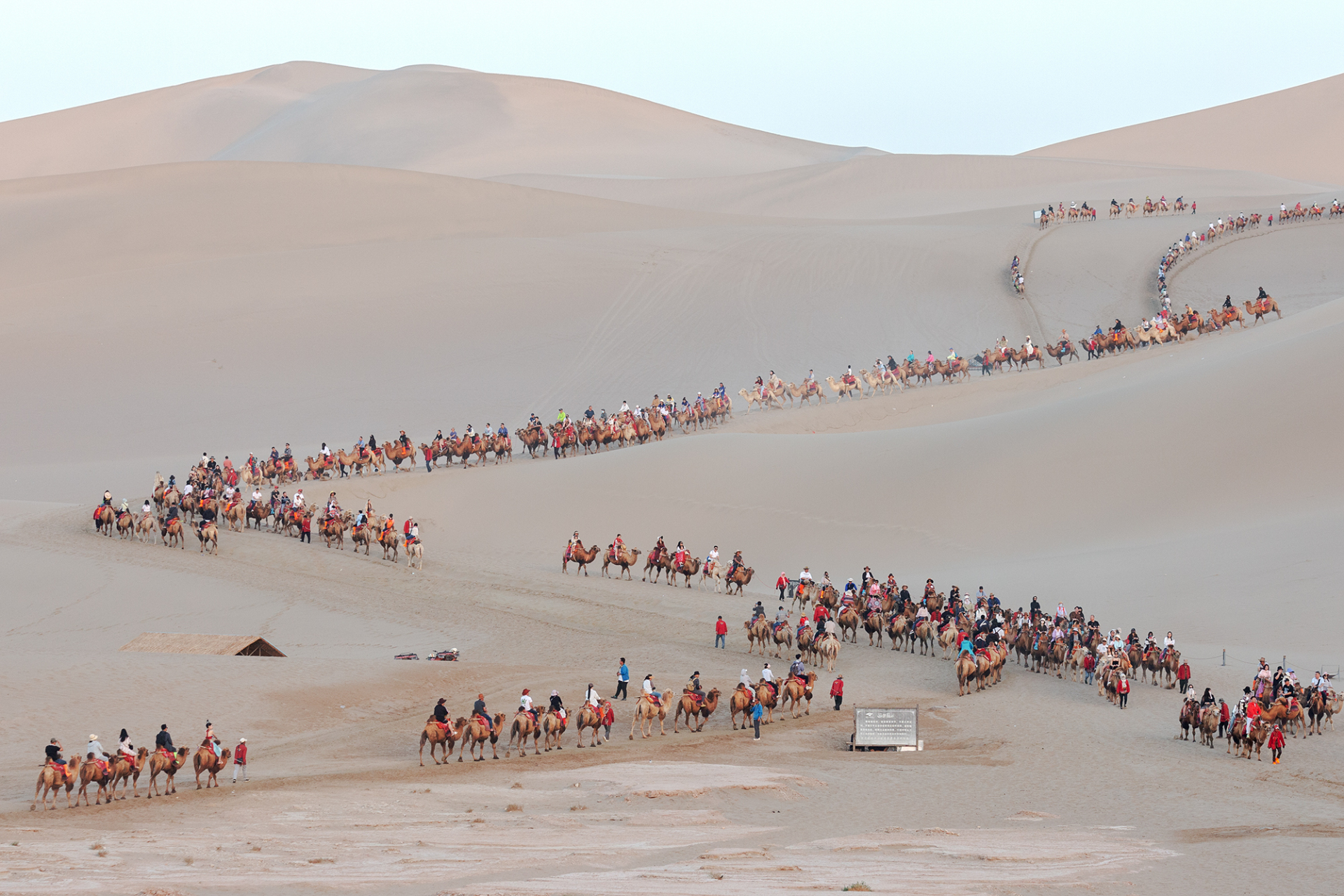 敦煌鸣沙山的骆驼队