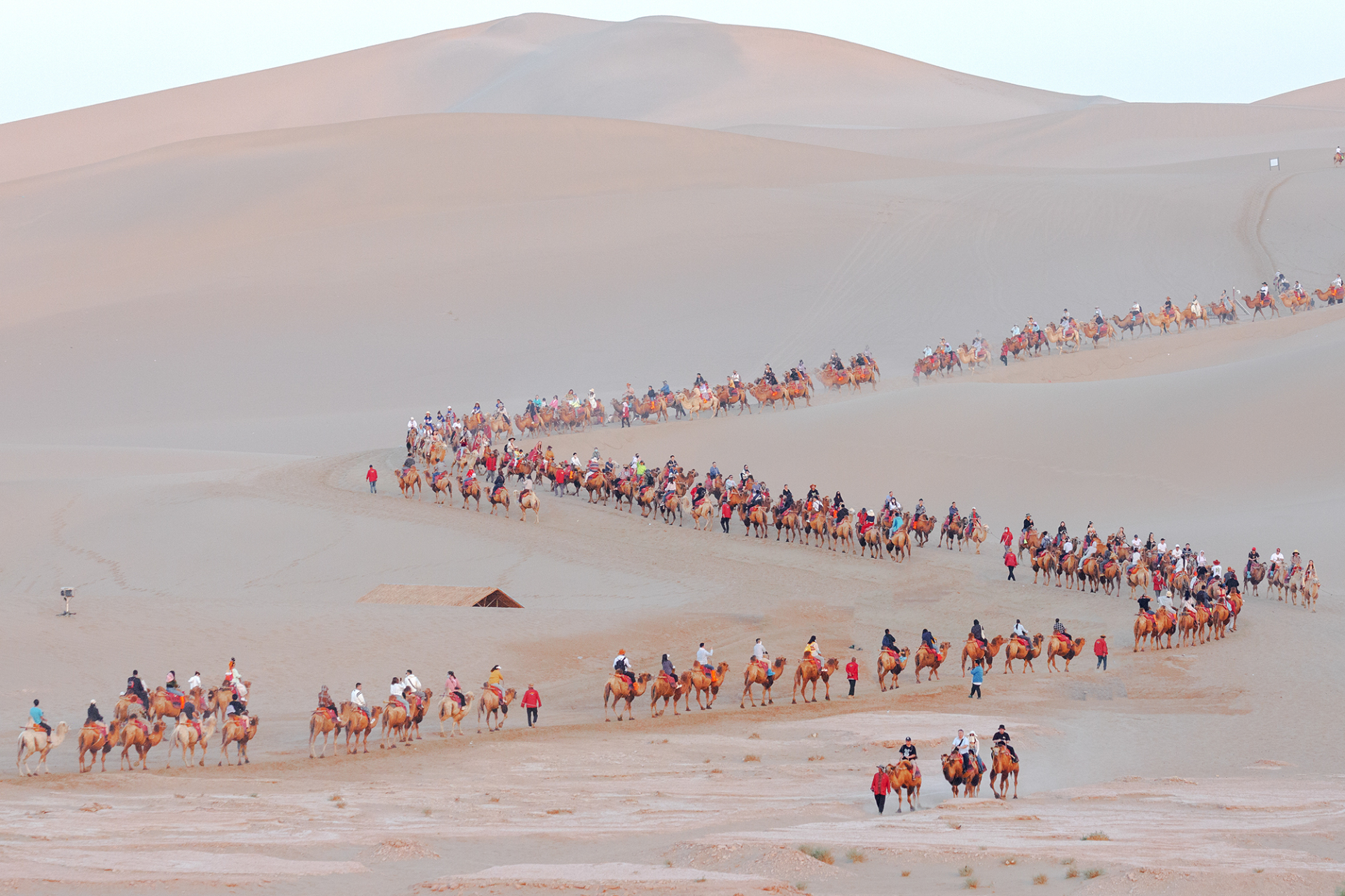 敦煌鸣沙山的骆驼队