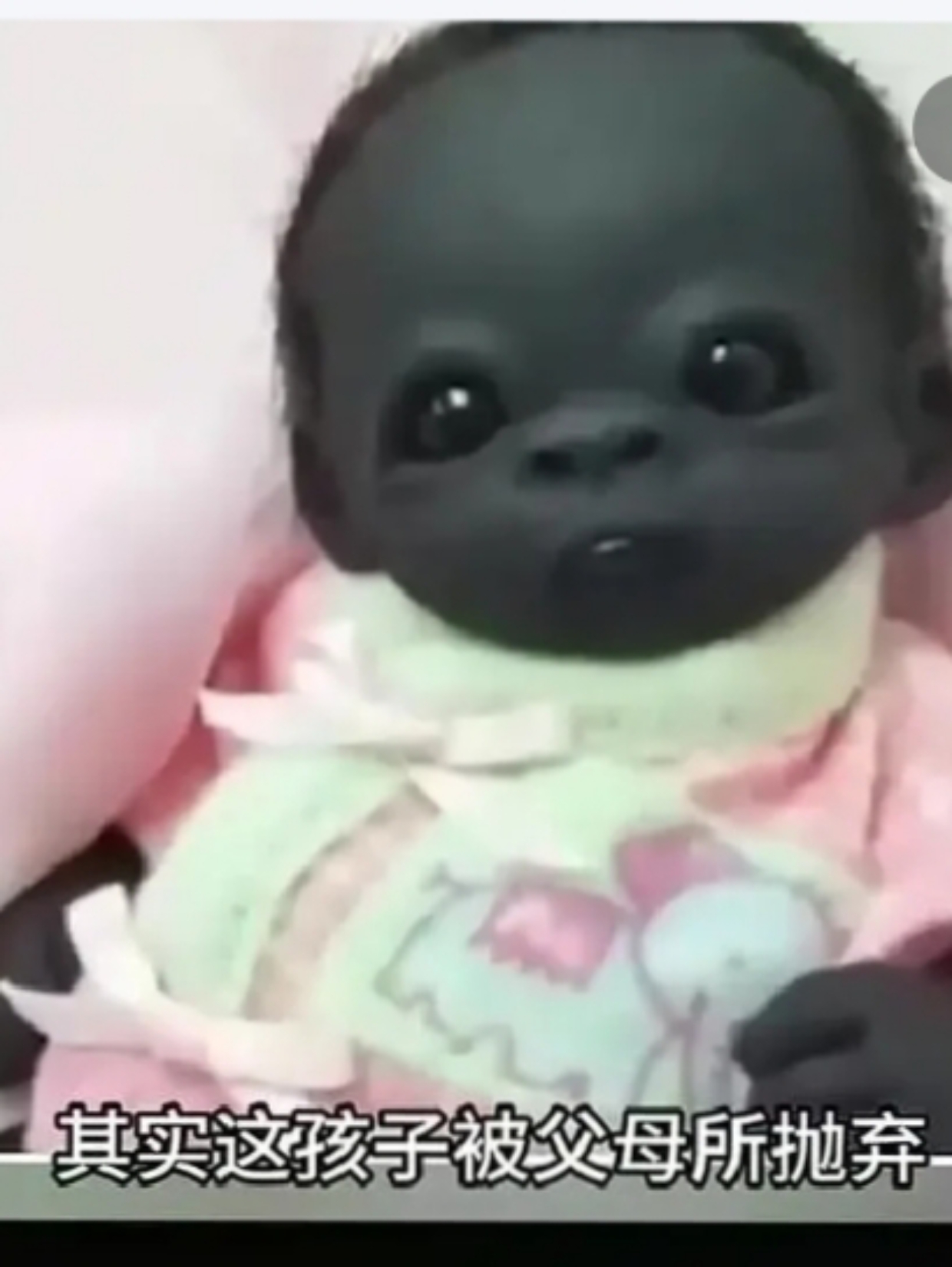 这个黑娃太可爱了,黑黑的大眼睛,炯炯有神注视前方,不知道为什么却被