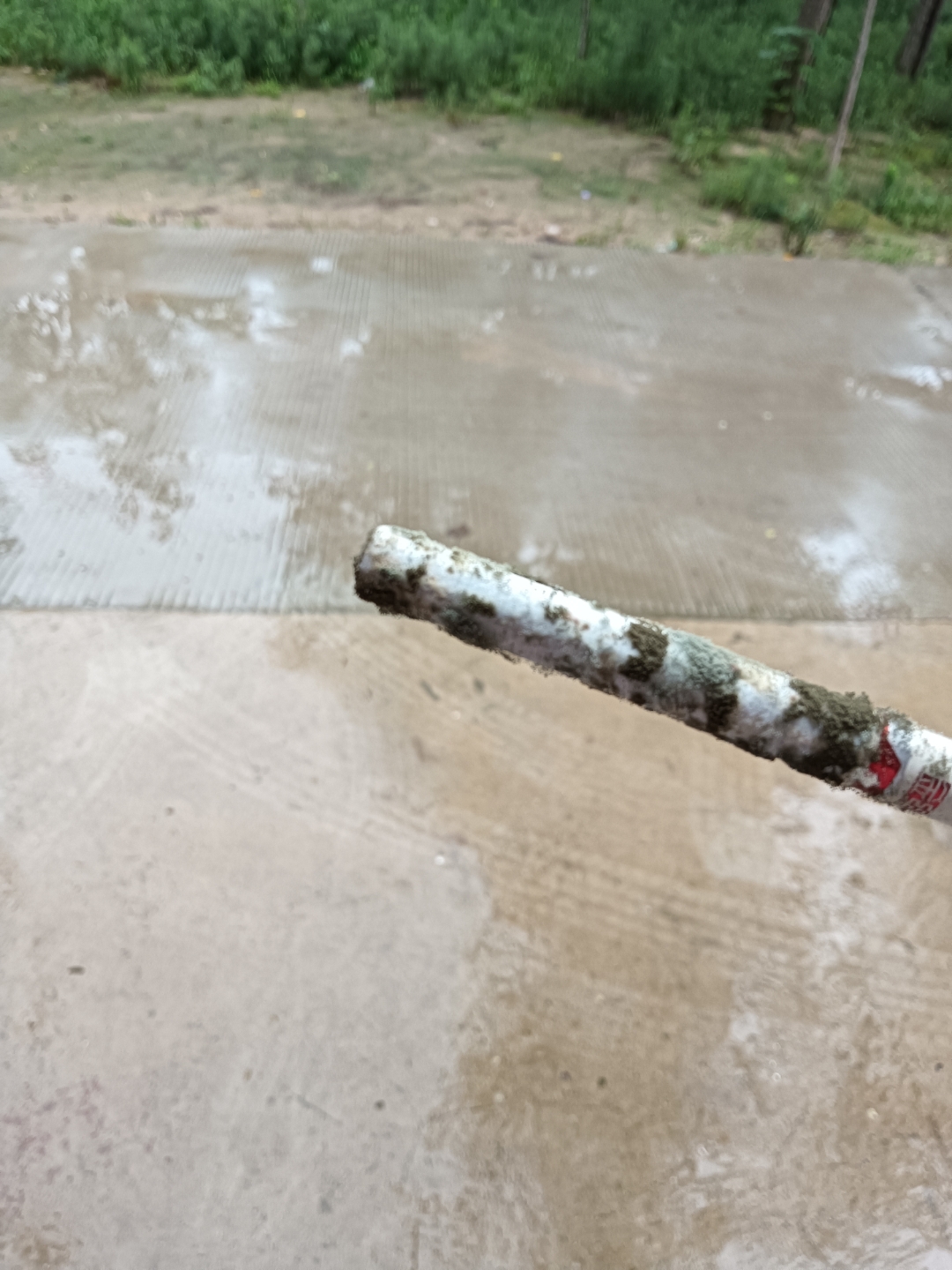 这烟怎么发霉了