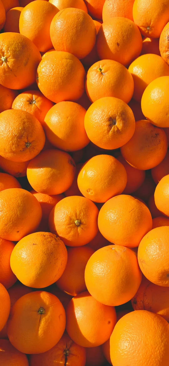 橙色系壁纸,温暖治愈,"橙"意满满～ 桔子和橙子是最经典纯粹的橙色了.