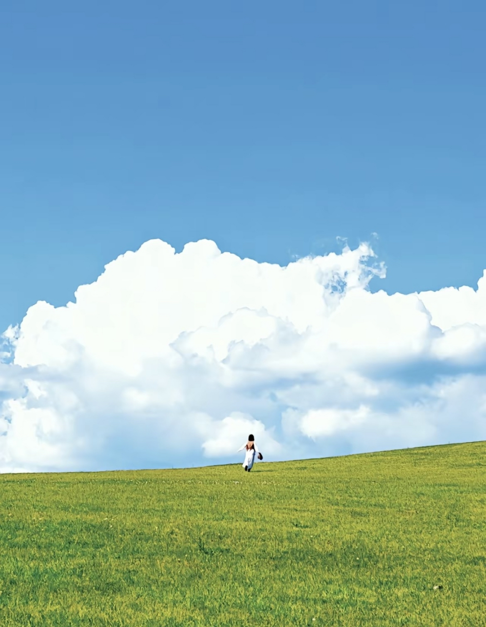 一组呼伦贝尔的夏天的一组壁纸! 宫崎骏动漫里的呼伦贝尔.