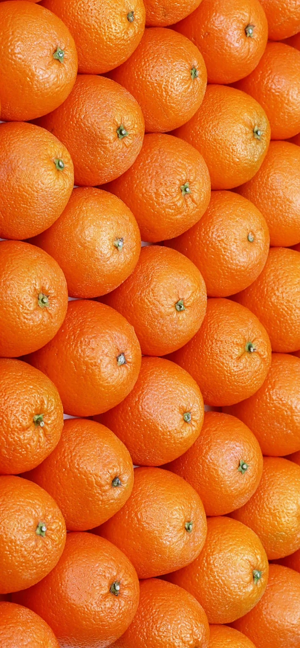 橙色系壁纸,温暖治愈,"橙"意满满～ 桔子和橙子是最经典纯粹的橙色了.