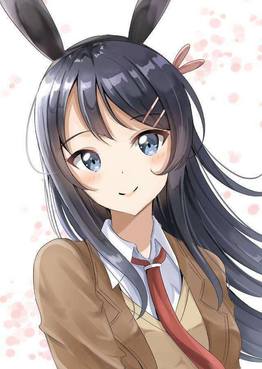 希望出现第二季的《青春猪头,少年不会梦到兔女郎学姐》