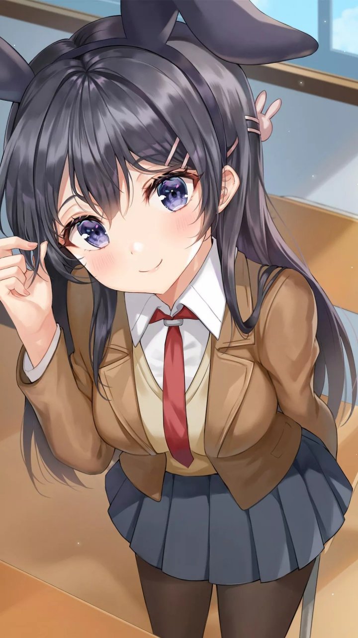 希望出现第二季的《青春猪头,少年不会梦到兔女郎学姐》