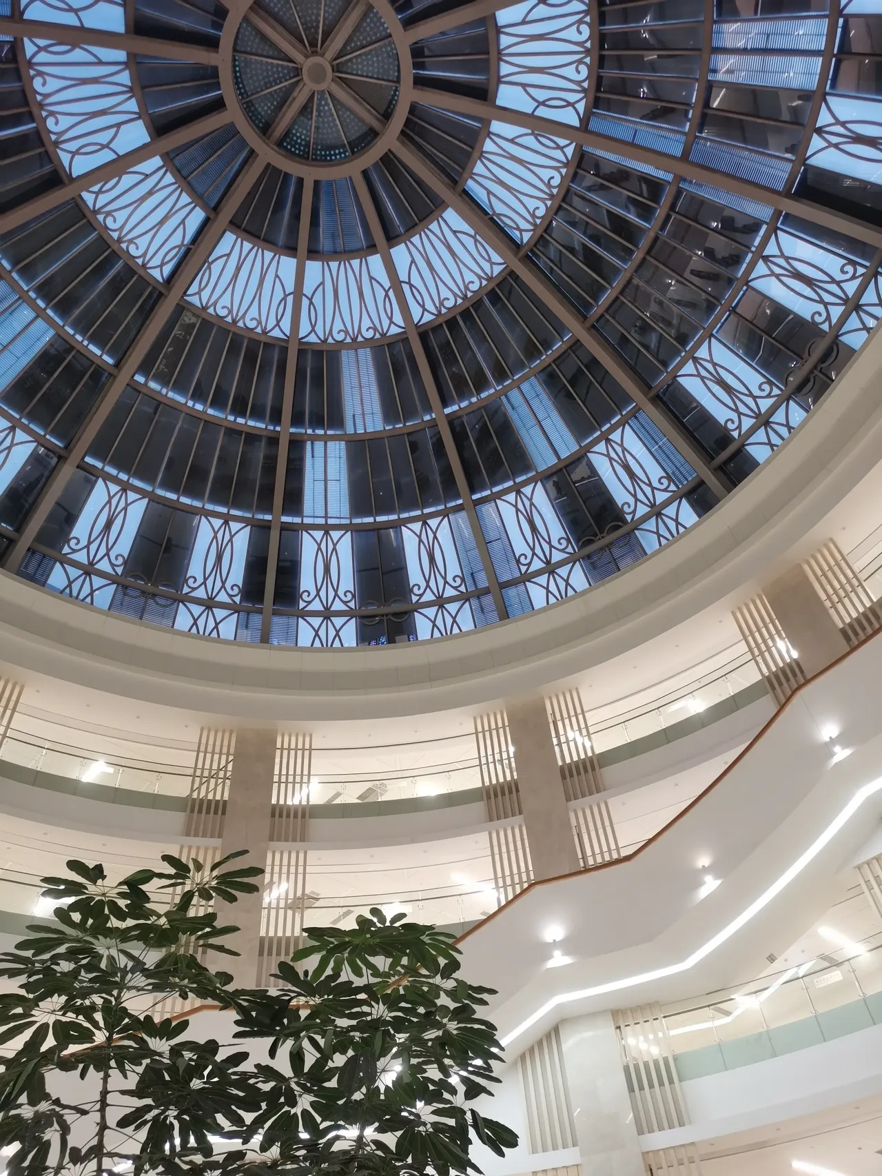 让我帮忙给介绍男朋友