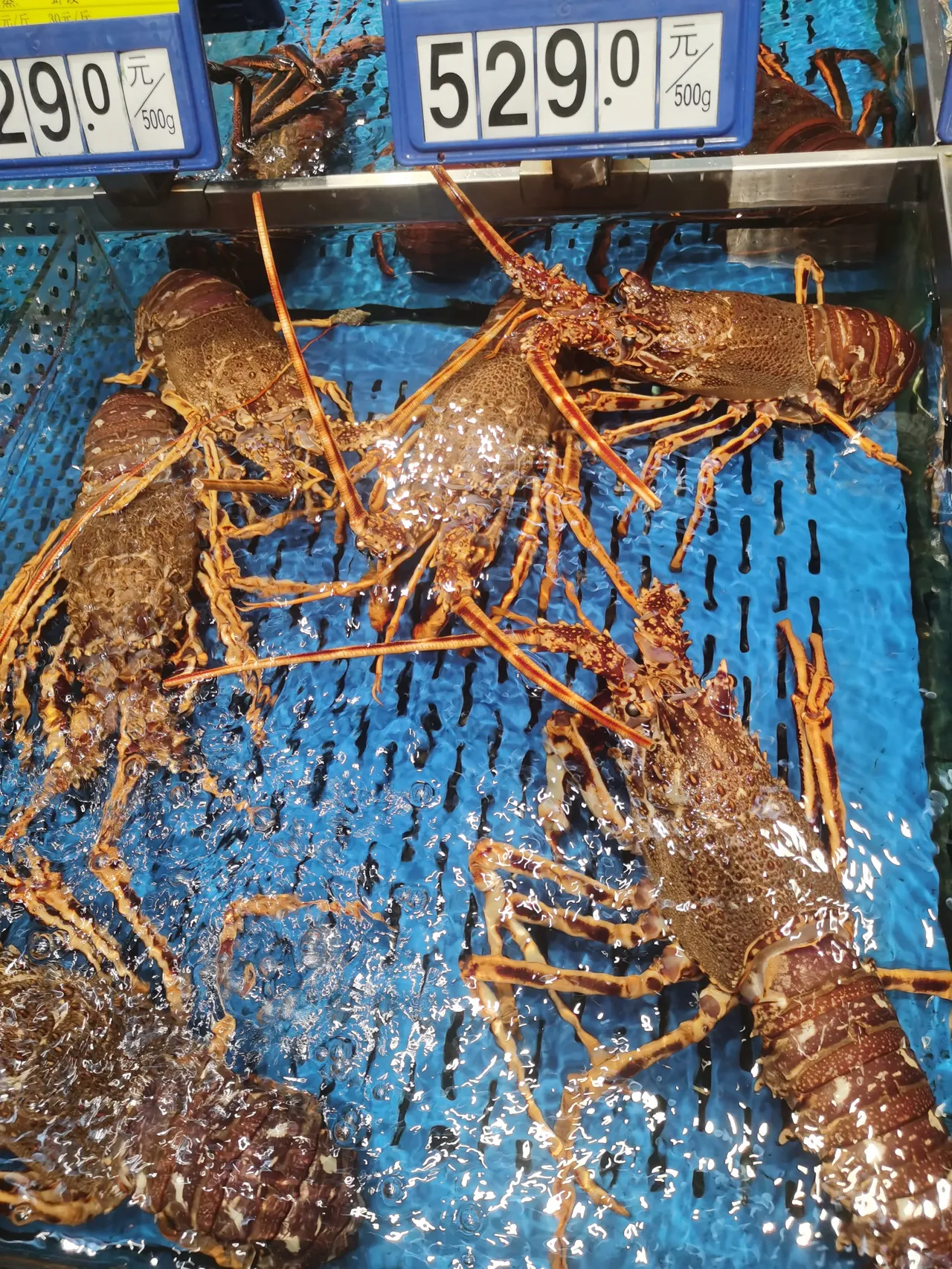 海鲜为什么贵一些百科在线 海鲜为什么贵一些百科在线