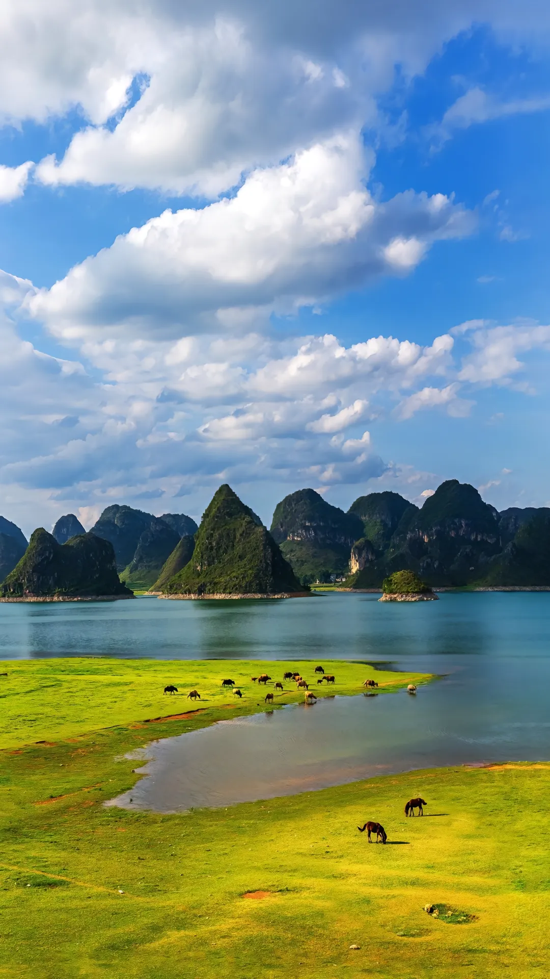 镜头里定格的每一个瞬间,都是旅行途中路过的每一处的风景