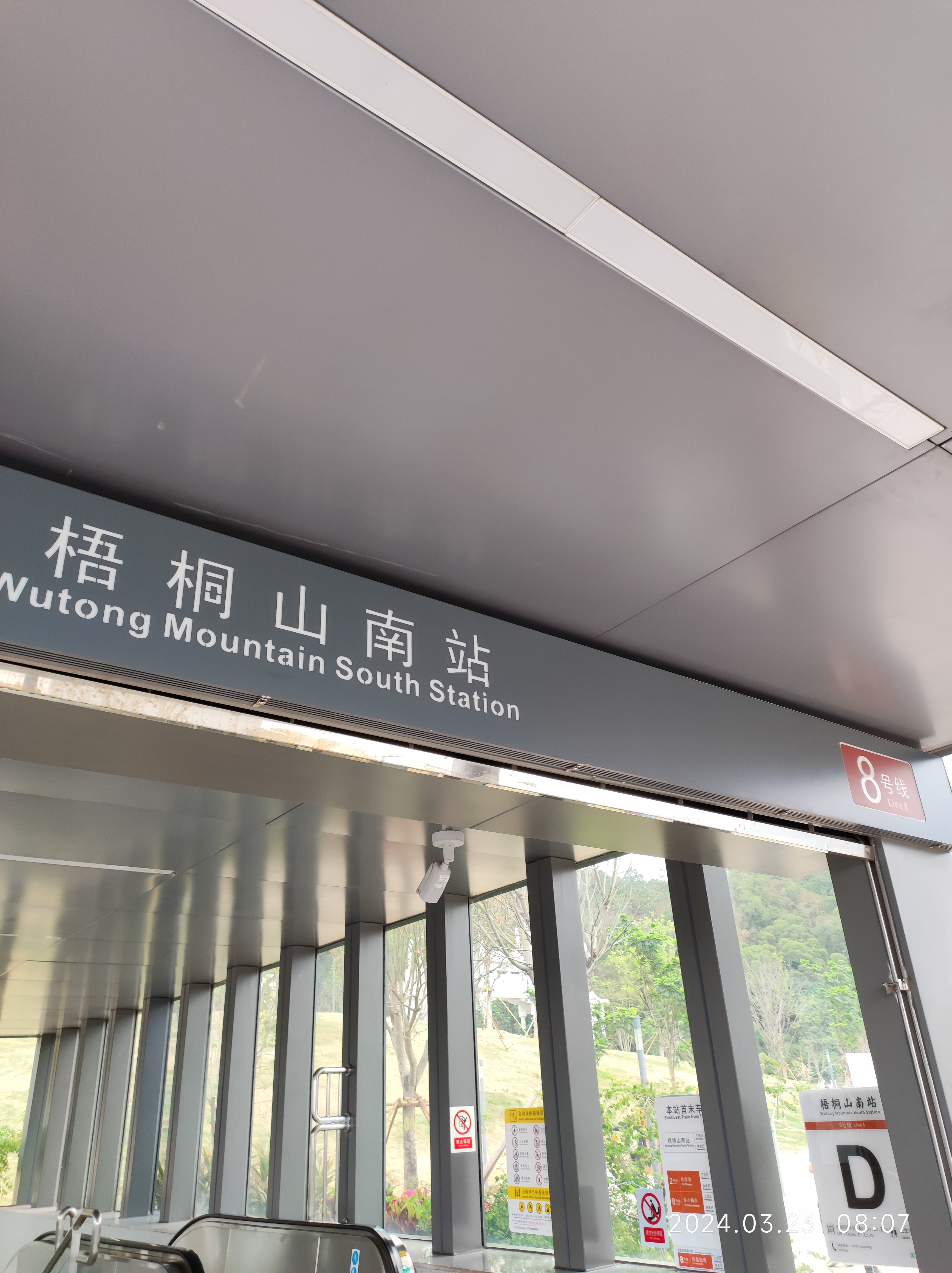 今日挑战梧桐山,石级如天梯,难度重重.