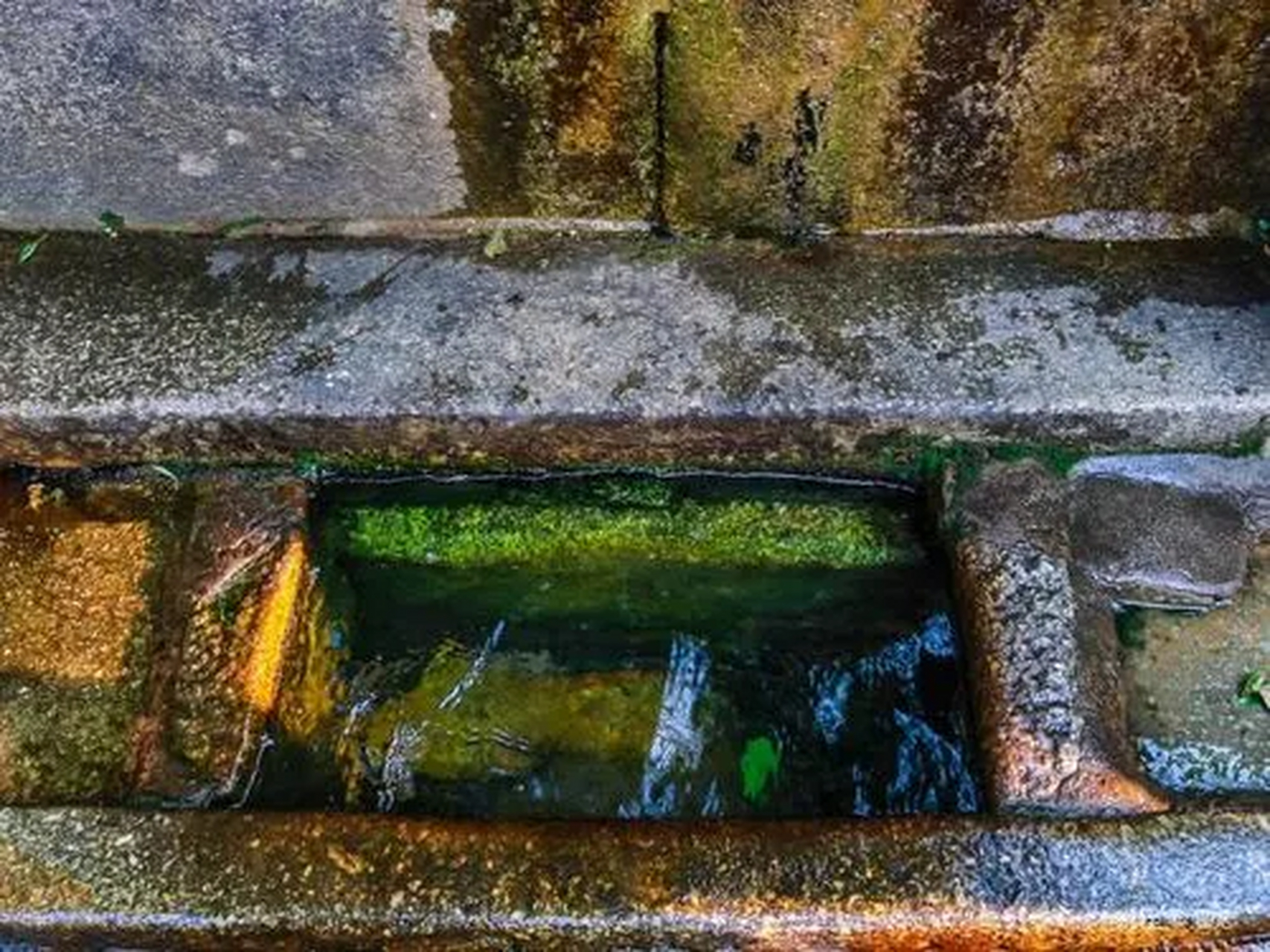 《白沙古井》曾渊正文 游遍神州一朵花, 白沙古井冽无邪.