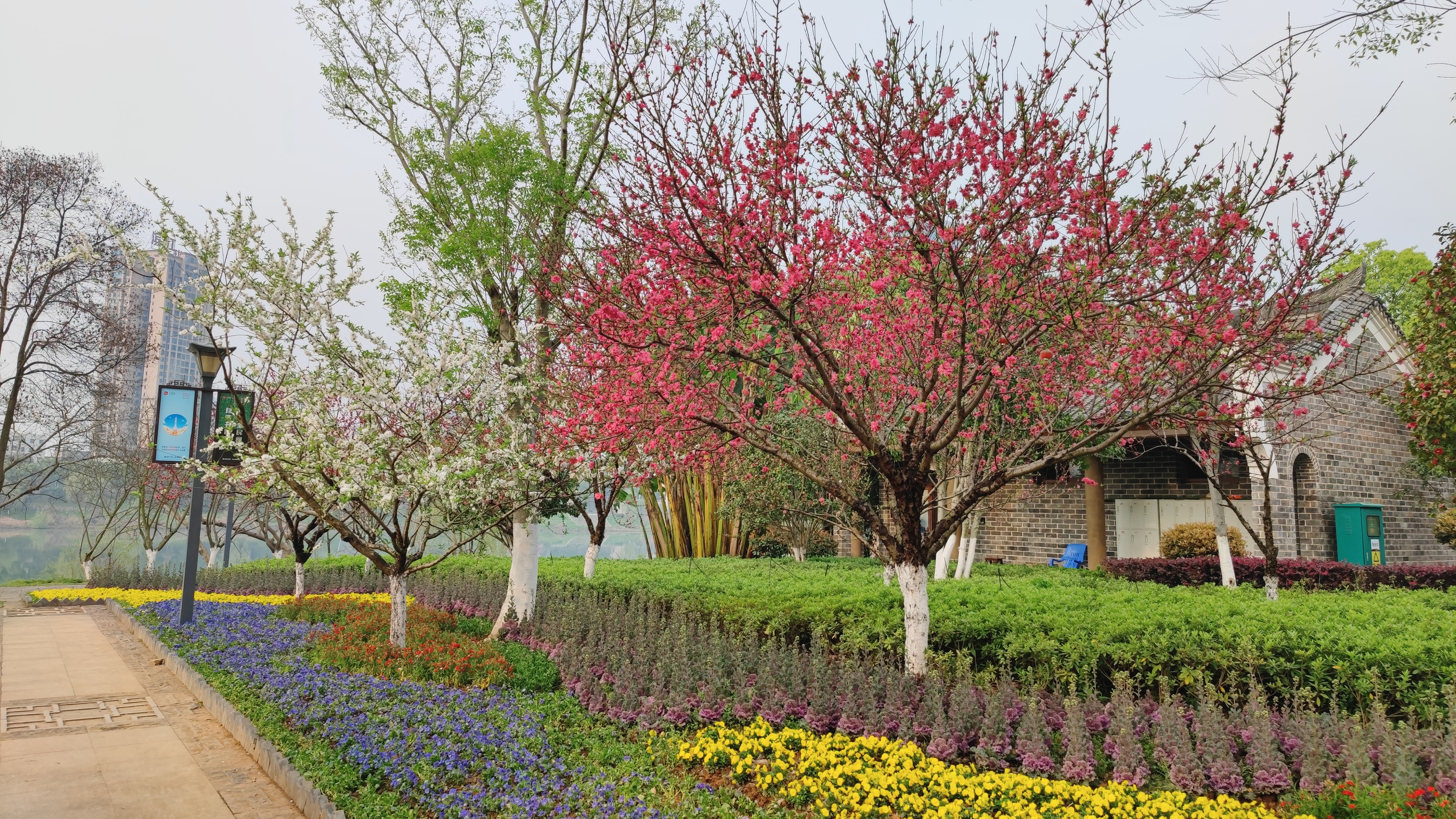 衡阳东洲岛桃花图片