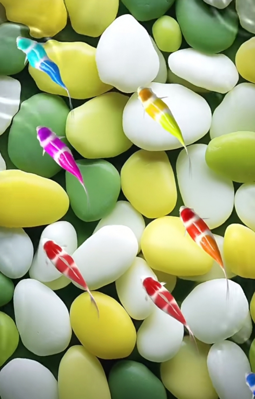 如鱼得水,石来运转