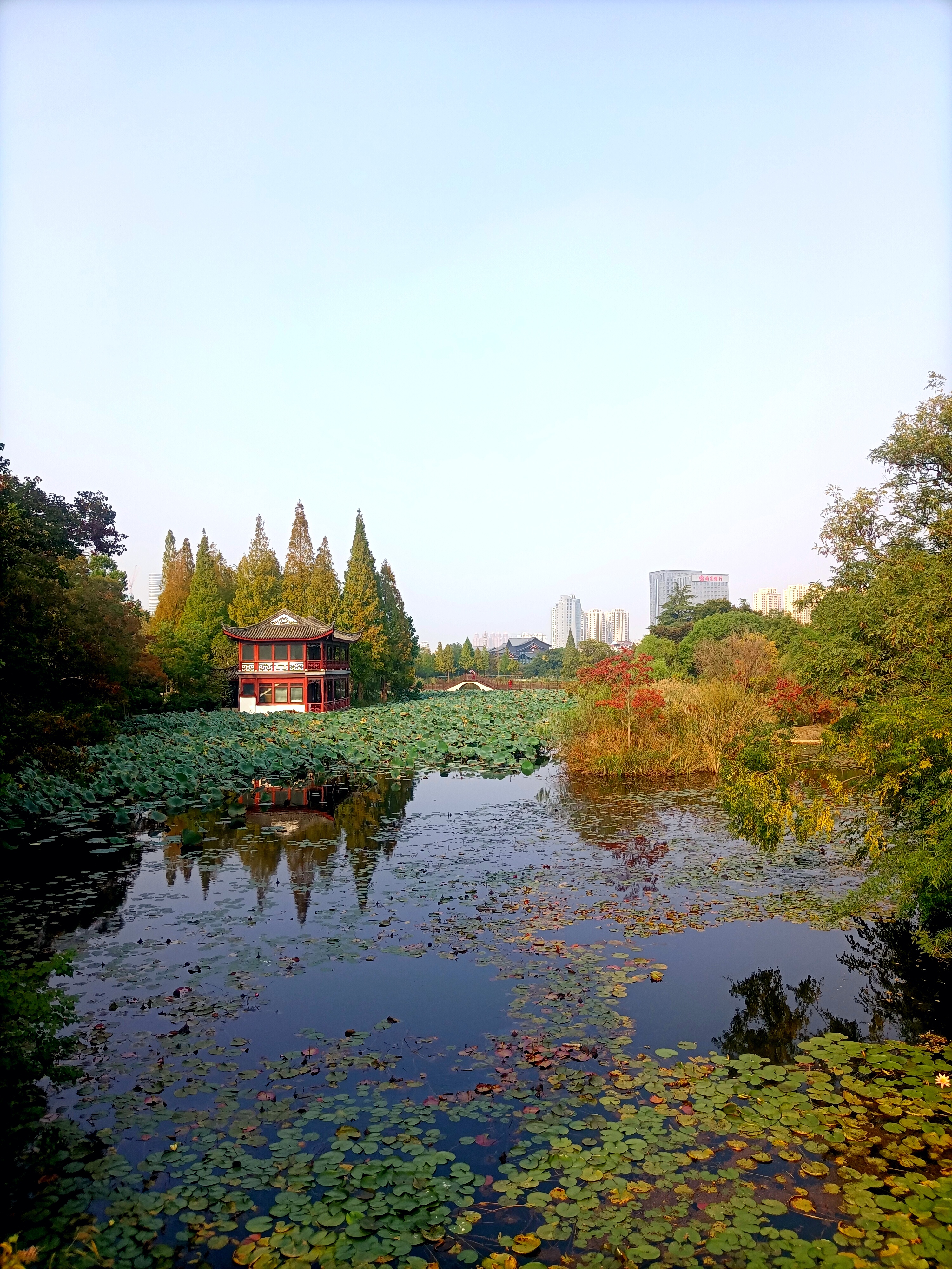 徐州彭园秋景