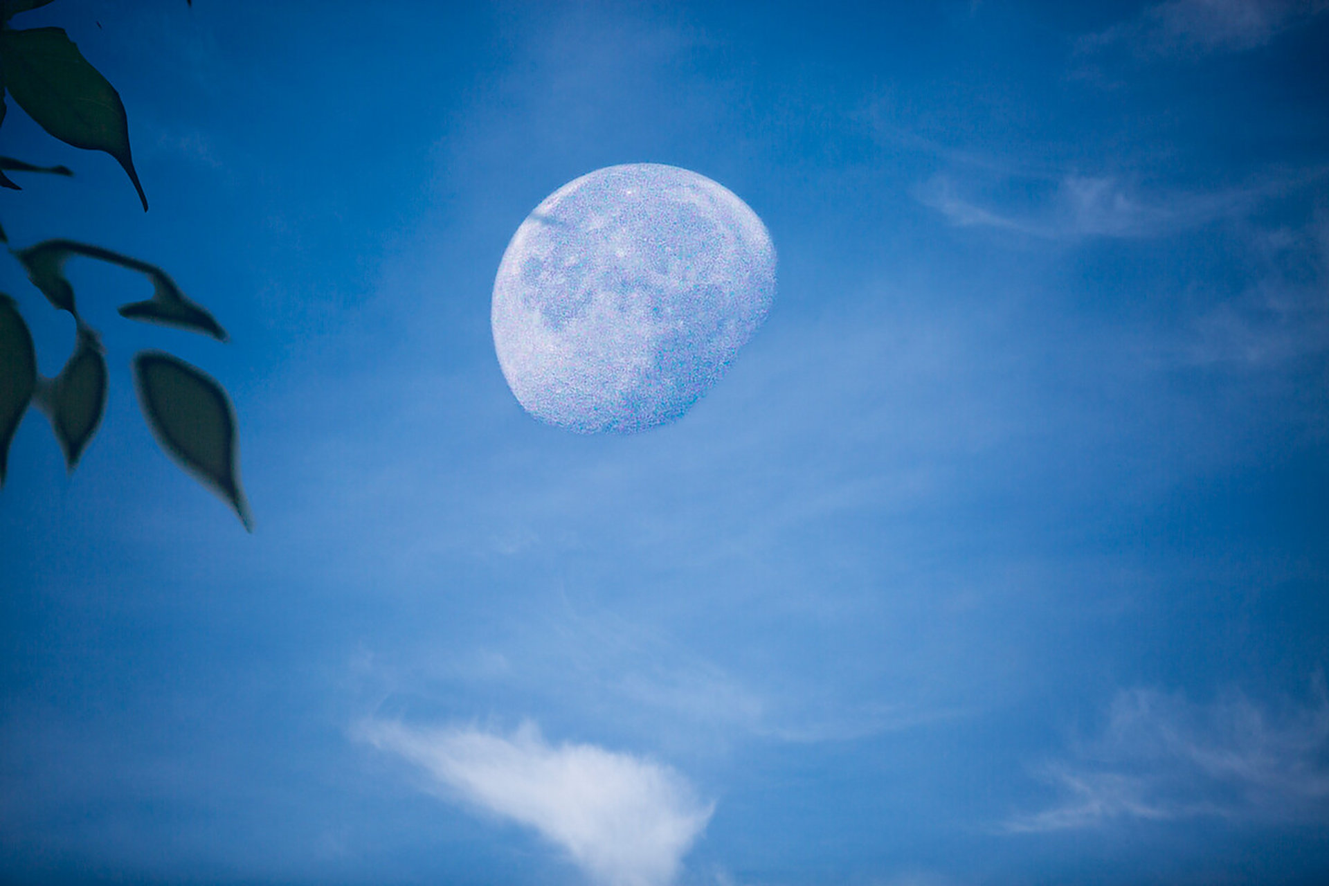 娱联乐对# 上联:鸟鸣霜晨月 下联:[鲜花][鲜花] 图片来源网络