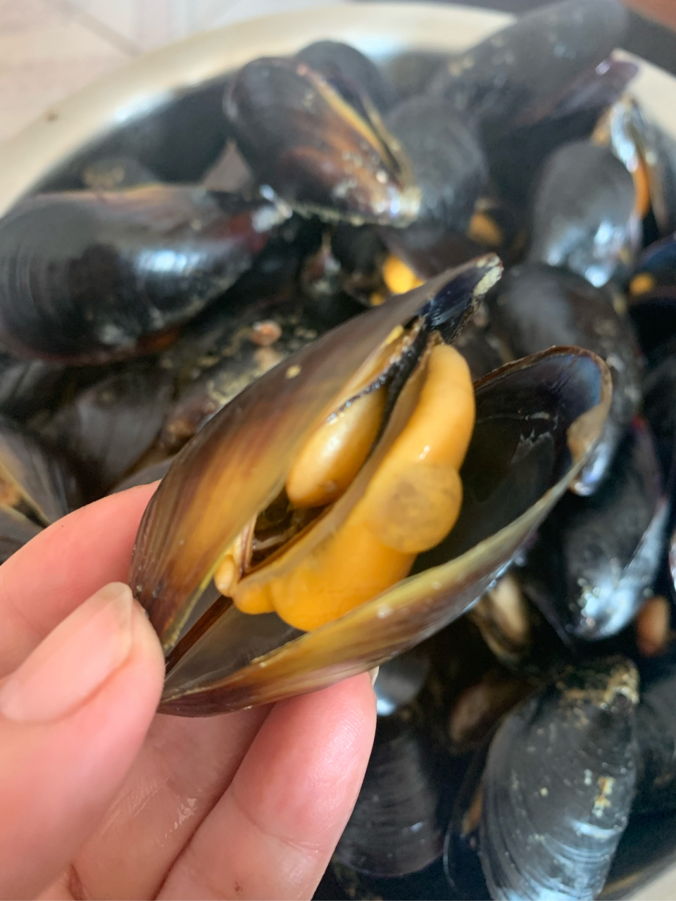 顾不得刚吃过饭,把海虹收拾干净放锅里煮