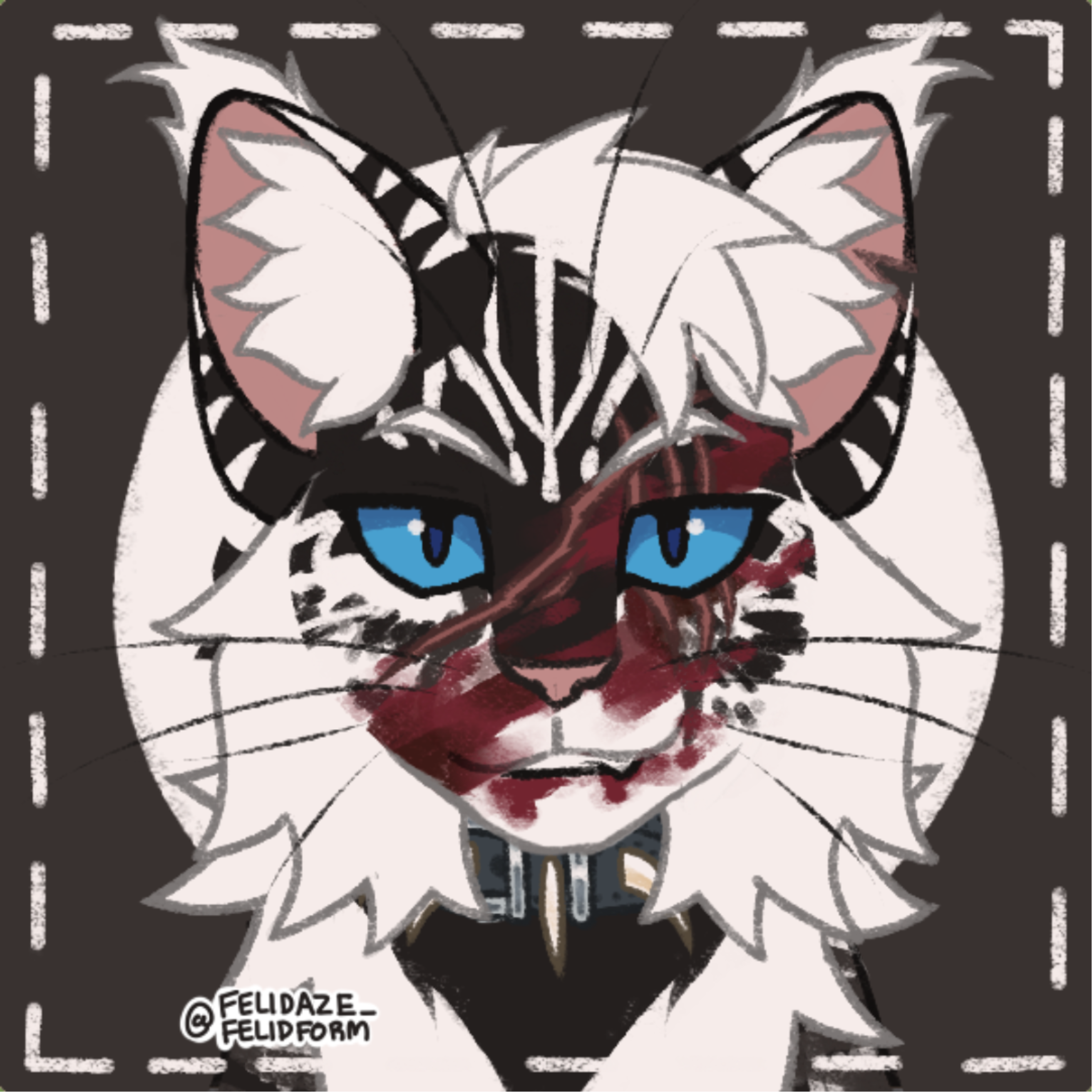 猫武士自设(改版) 按图序为: 戮尾(原名残鸦暴),暗掌,森羽,鸮心(原名