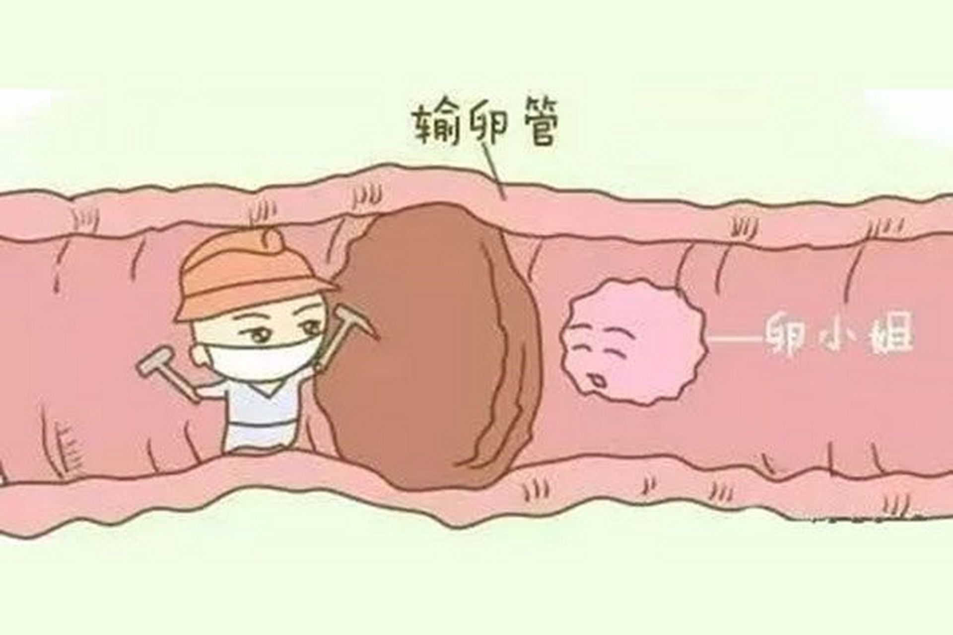 伤心!输卵管堵塞的10个征兆有哪些"金玉满堂"-第1张图片-南坊网