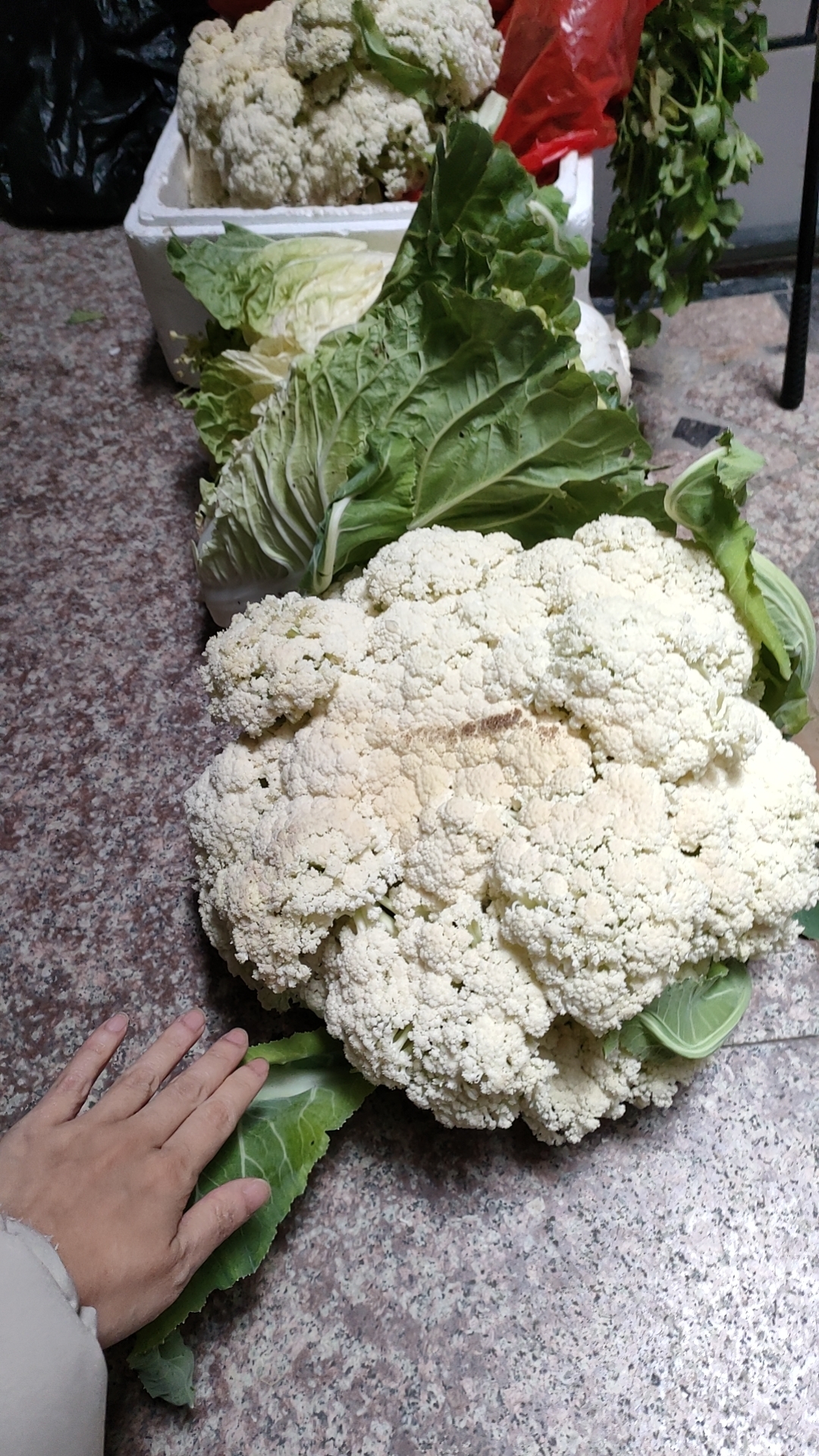 🥦 在我的印象中,花椰菜一直是一个非常低调的蔬菜,但这次的发现