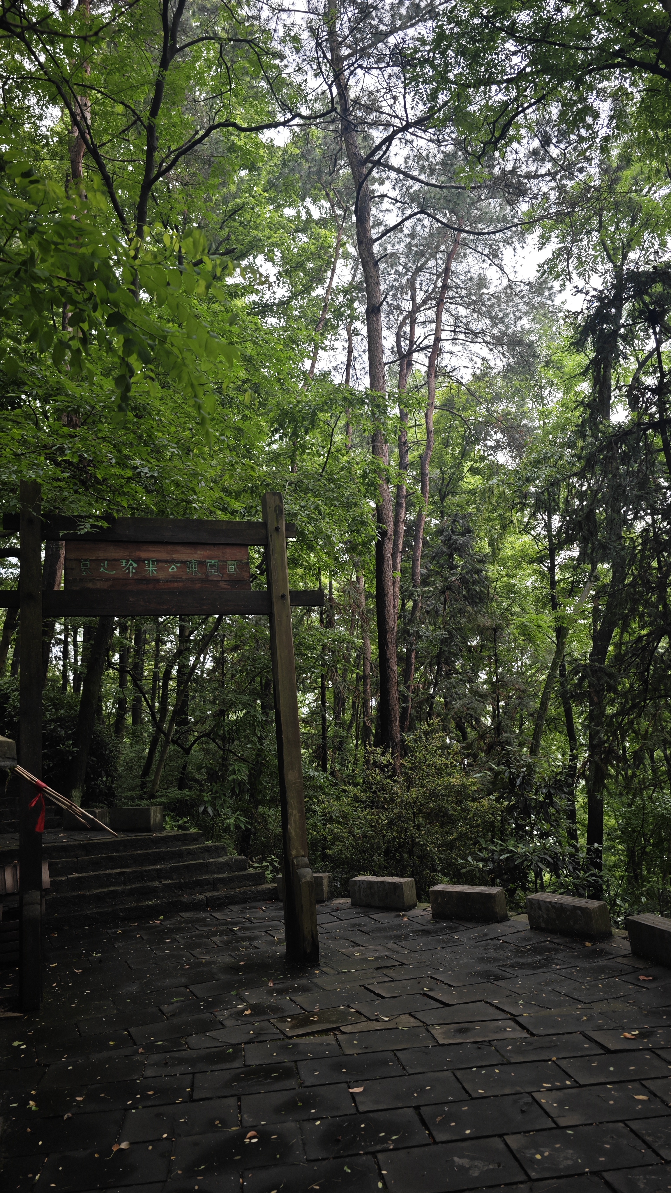 拜湘西王陈渠珍之墓 他和西原出藏的故事 写成了一部名为 《艽野尘梦