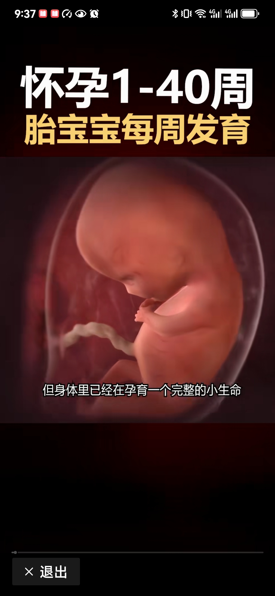 《探秘生命奇迹:怀孕1 - 40周胎宝宝的成长之旅》