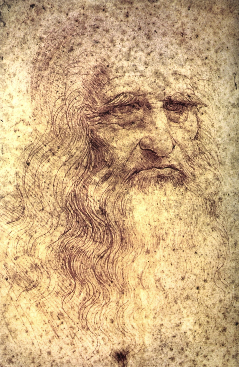 达芬奇作品,难得一见的素描手稿 #绘画# #素描# #美术# #画说