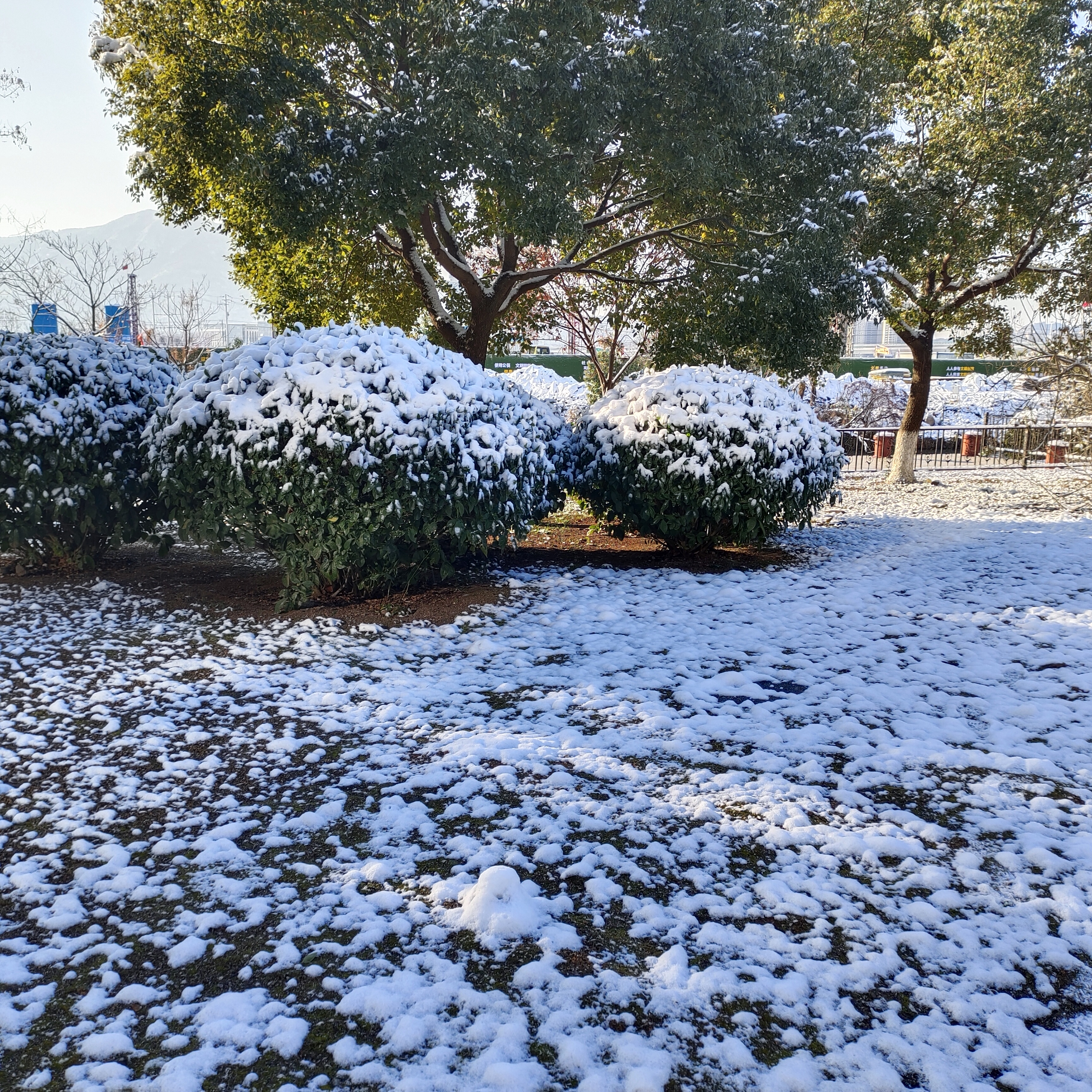 义乌上溪大草坪下雪图片