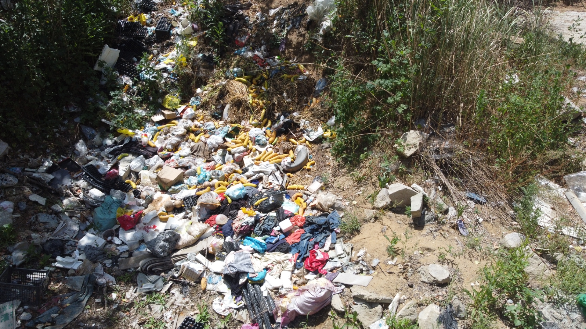 本应是保障农田灌溉的重要区域,如今却面临着严峻的环境破坏问题.