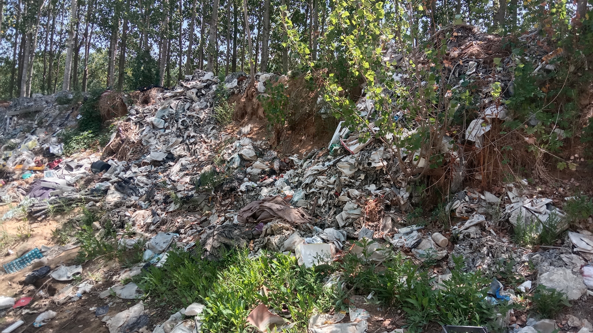 即墨区段泊岚镇:农田生态环境遭破坏,保护水源刻不容缓   近日,有村民