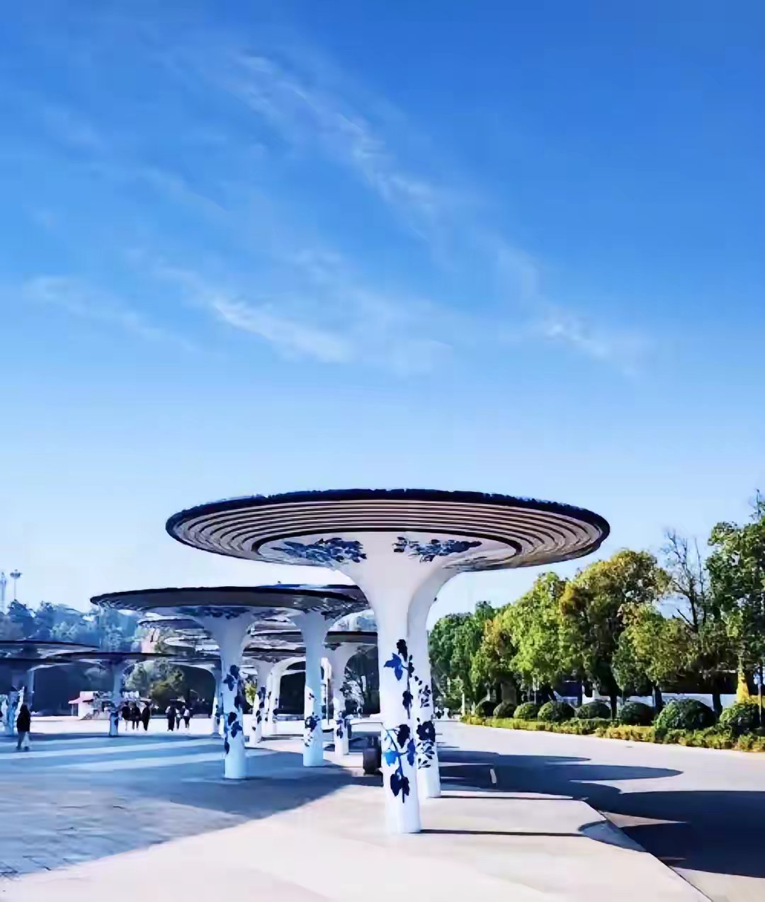 以前相亲认识一个姑娘,追过她两个来月,实在是追不