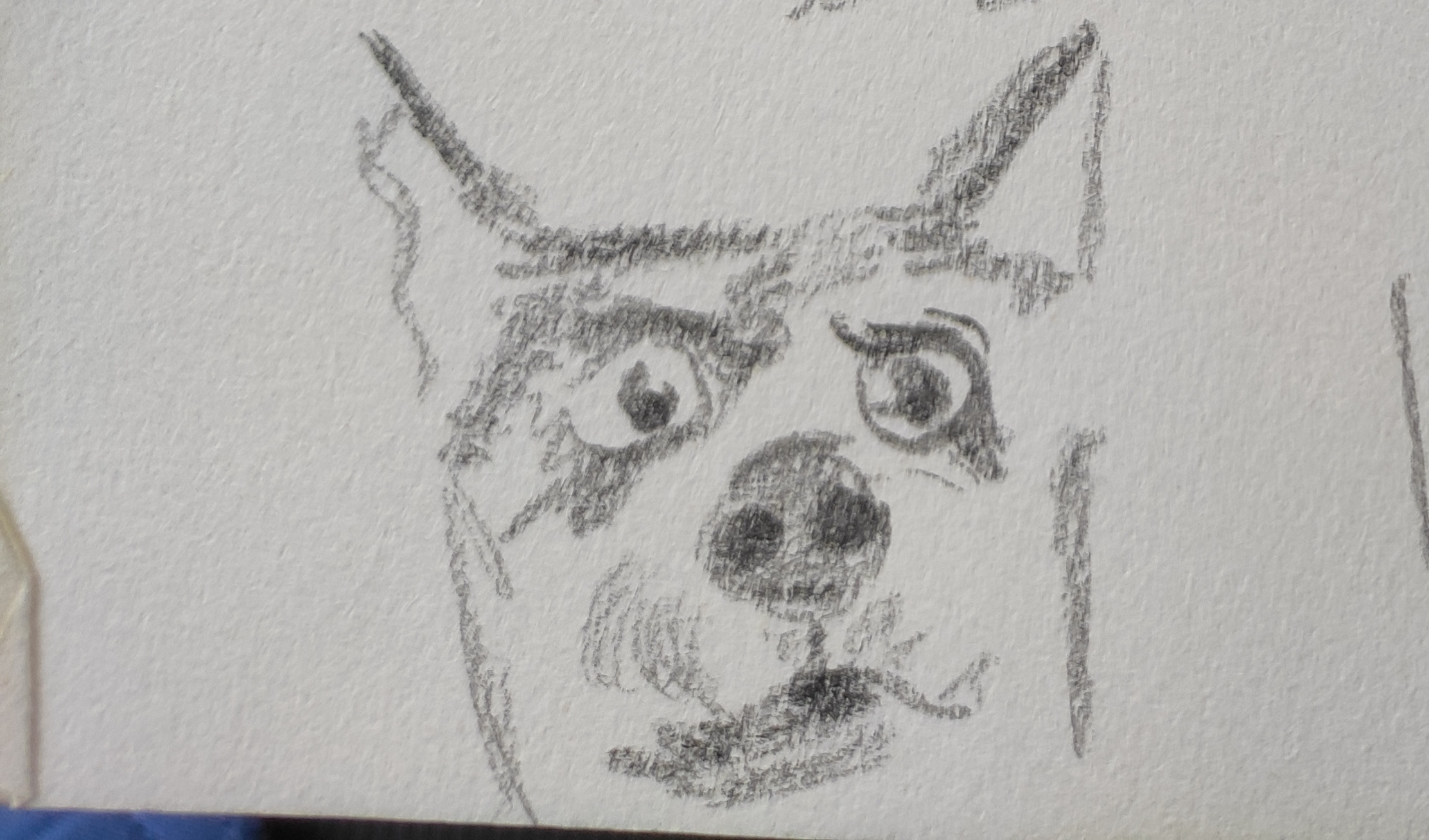 摸鱼极简狗头#动态连更挑战# #绘画日常# #速写# #摸鱼# #绘画摸鱼