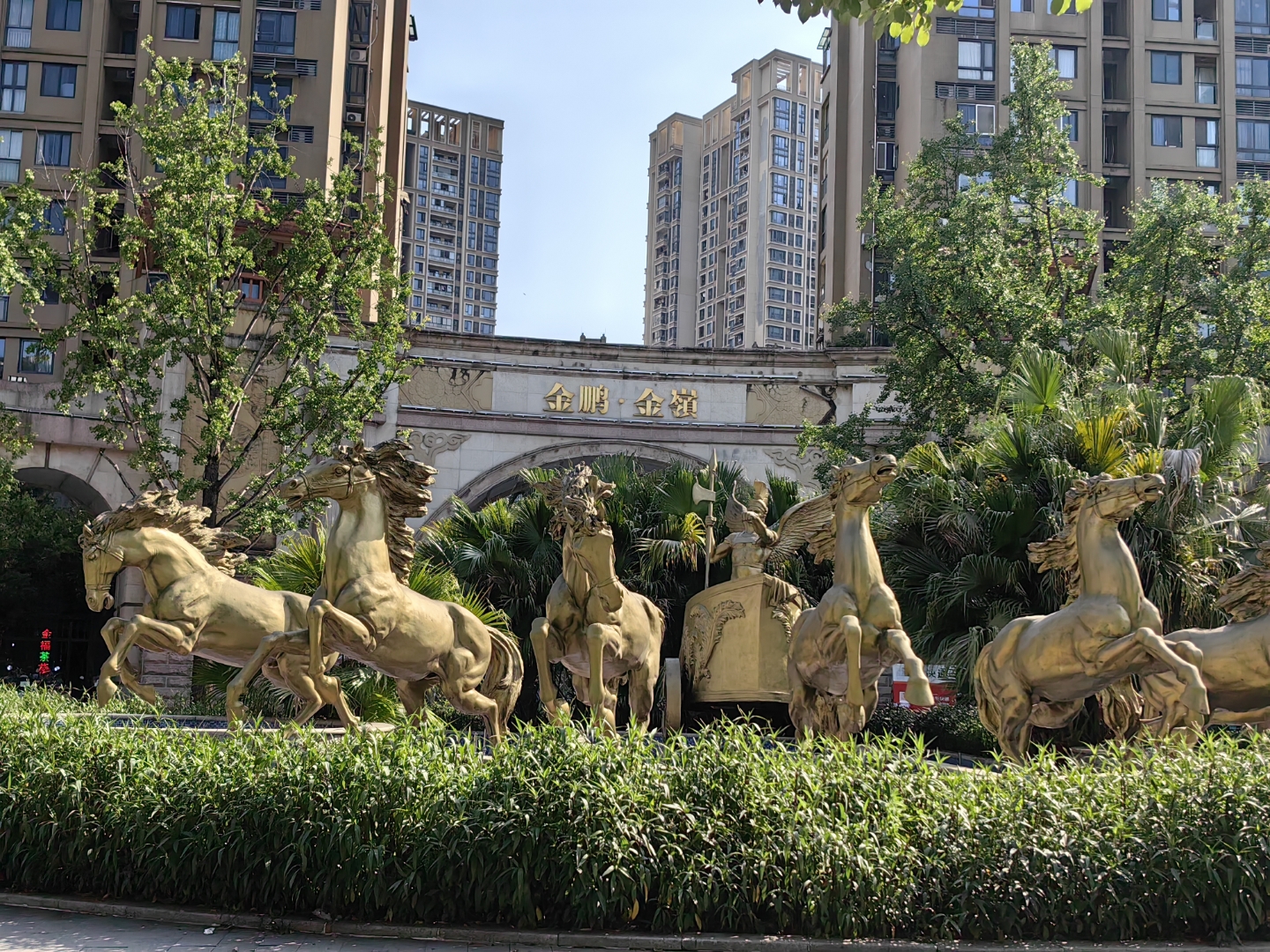 有好几年都没从事这项活动了