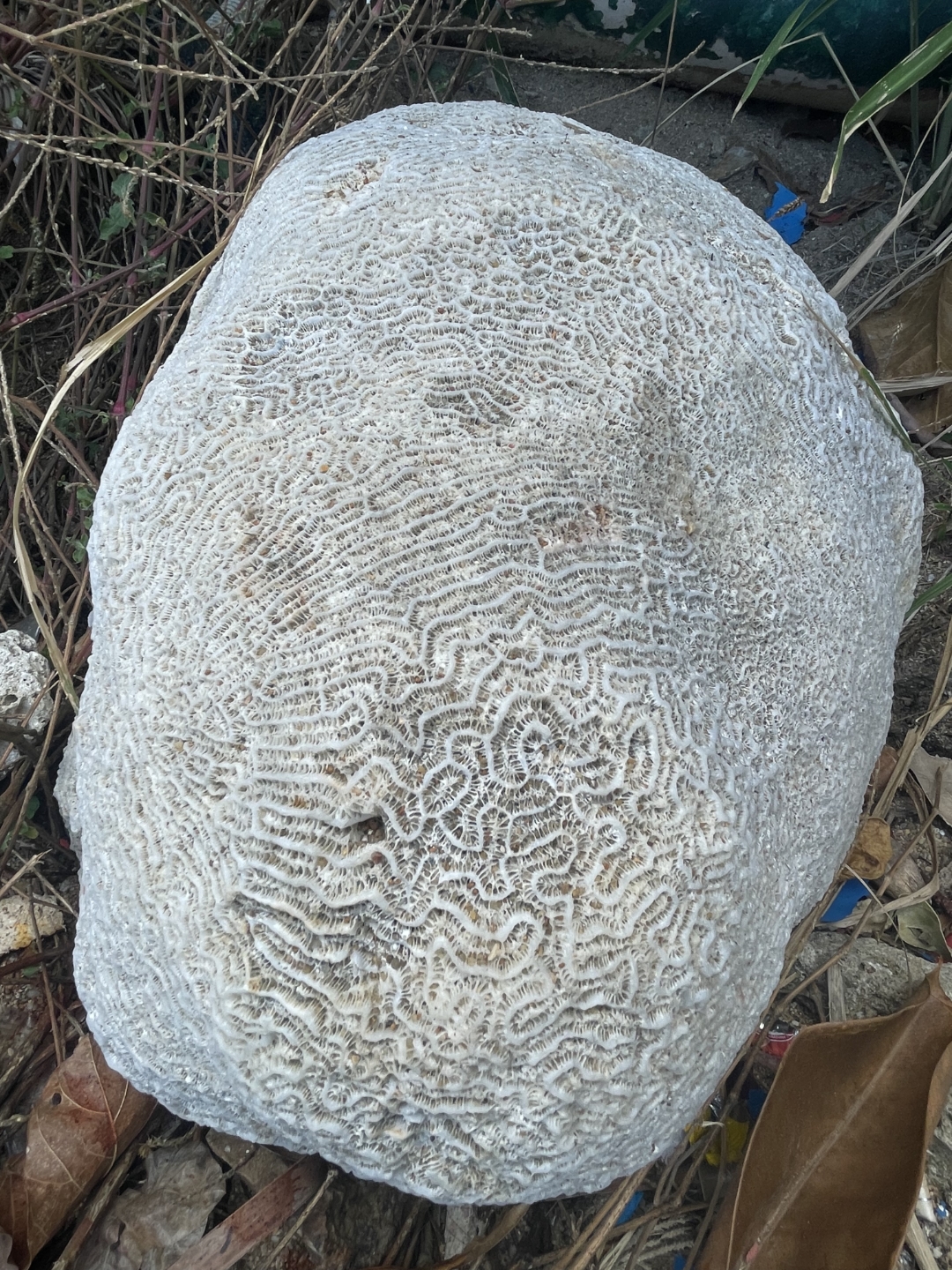 城市周边游好去处#在大小洞天看见一块石头,上面的