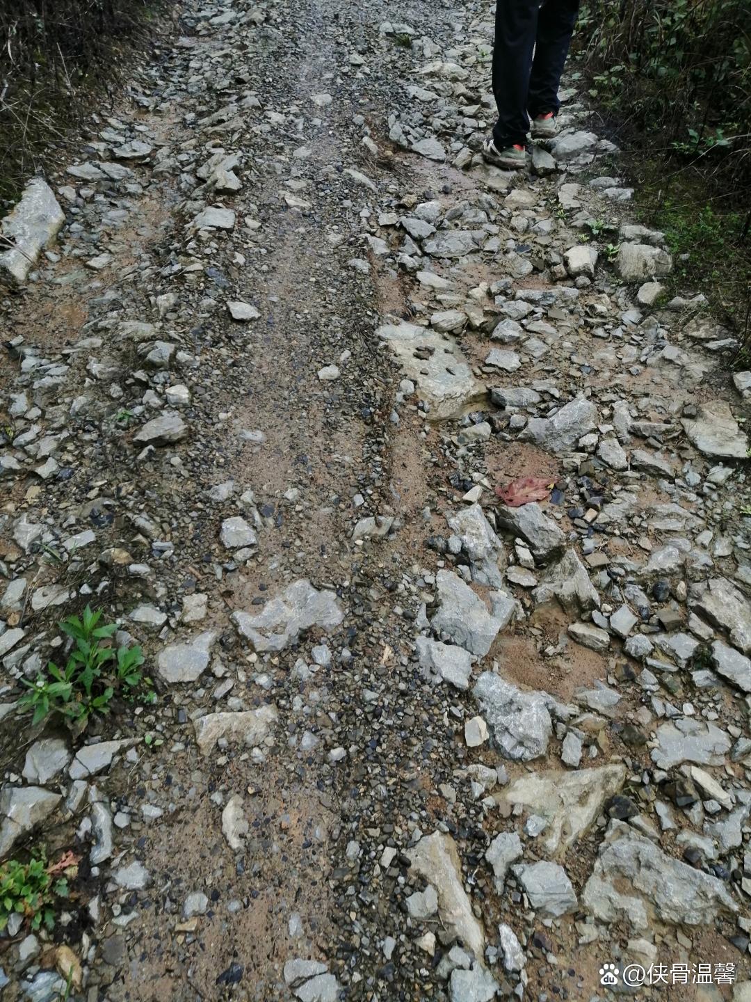 不为老百姓办实事,湖北省