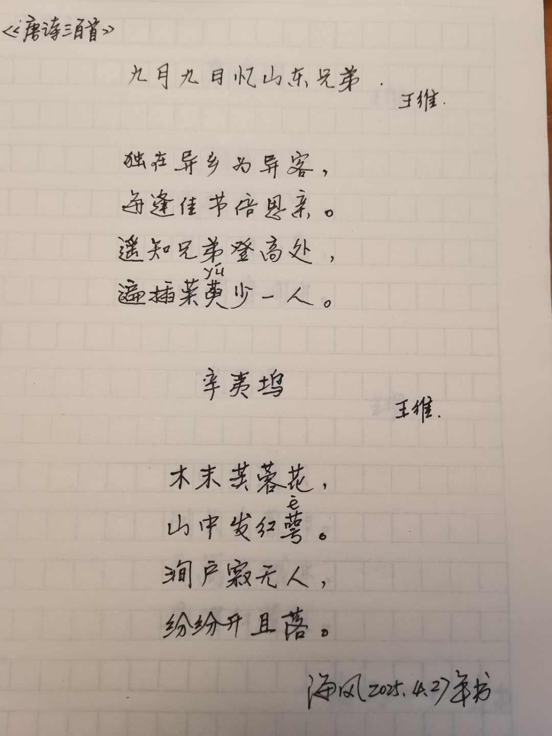 异乡游子重阳思亲,遥想兄弟登高插茱萸.山间芙蓉自开落,孤寂如诗