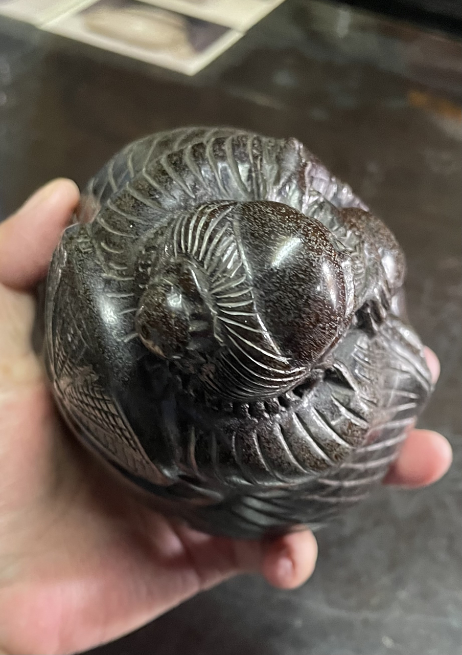 非洲犀牛角达到5000到10000元每克,亚洲犀角更是可贵,明,清犀牛角竞达