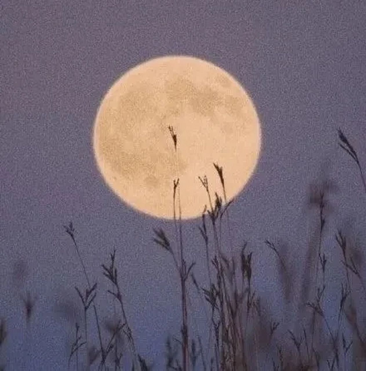 天地俱生 万物以荣  好好休养  累了就平躺  躺平休息  比什么都管用