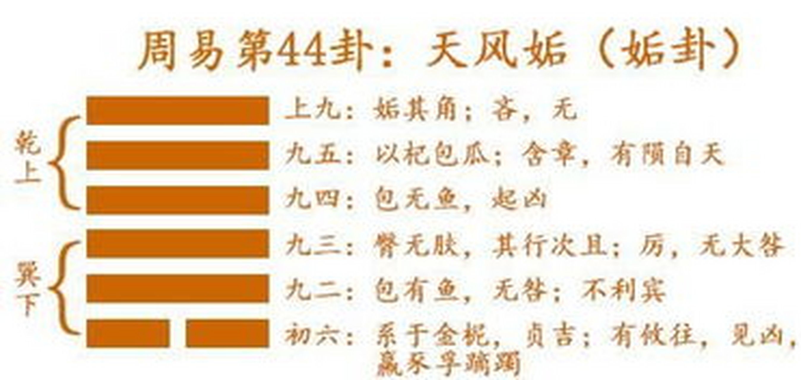 姤卦 刚柔相济 进退自如  02两个人第一次相遇  直接说明女壮  不