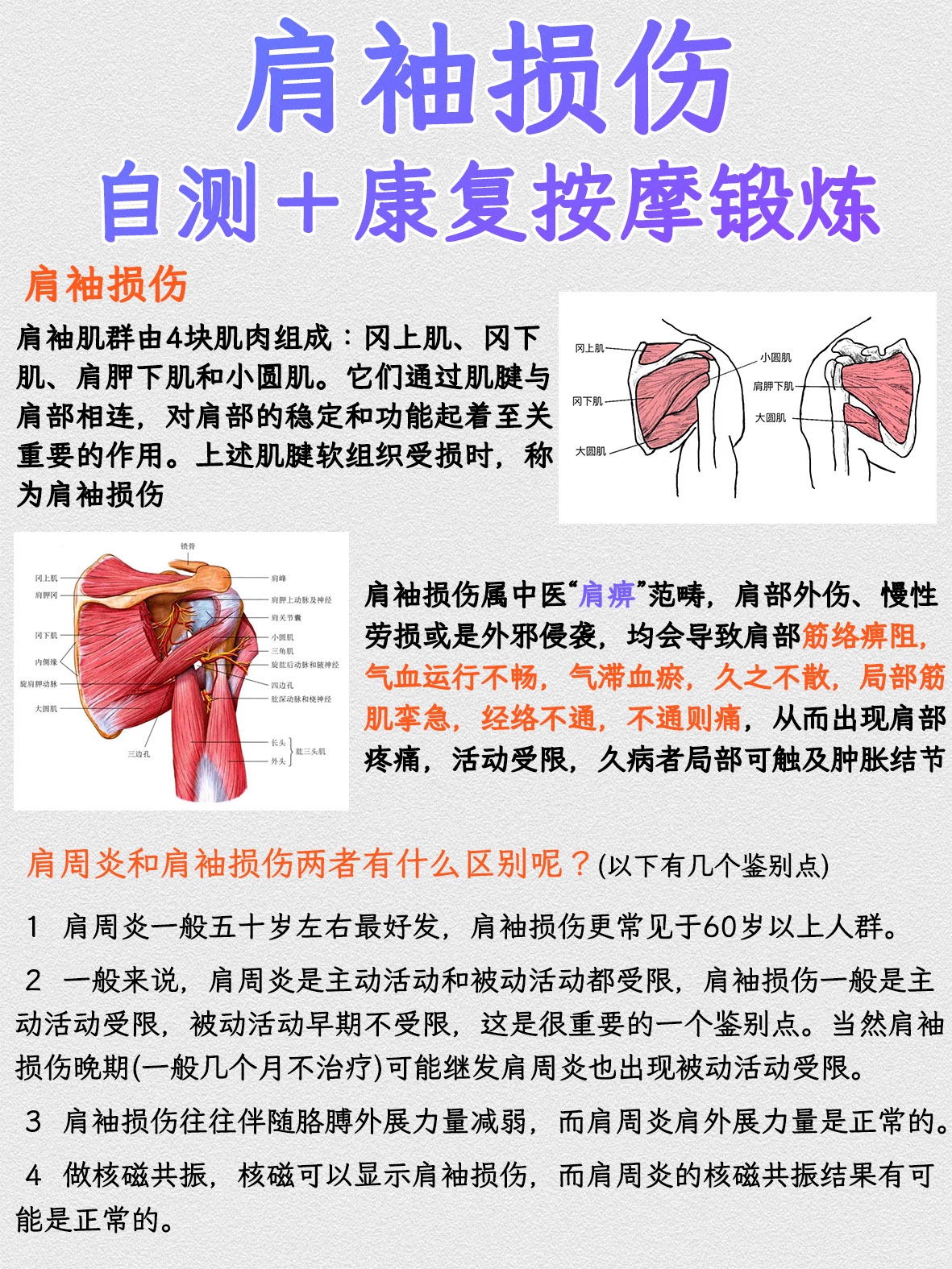 肱骨骨折恢复锻炼图解图片