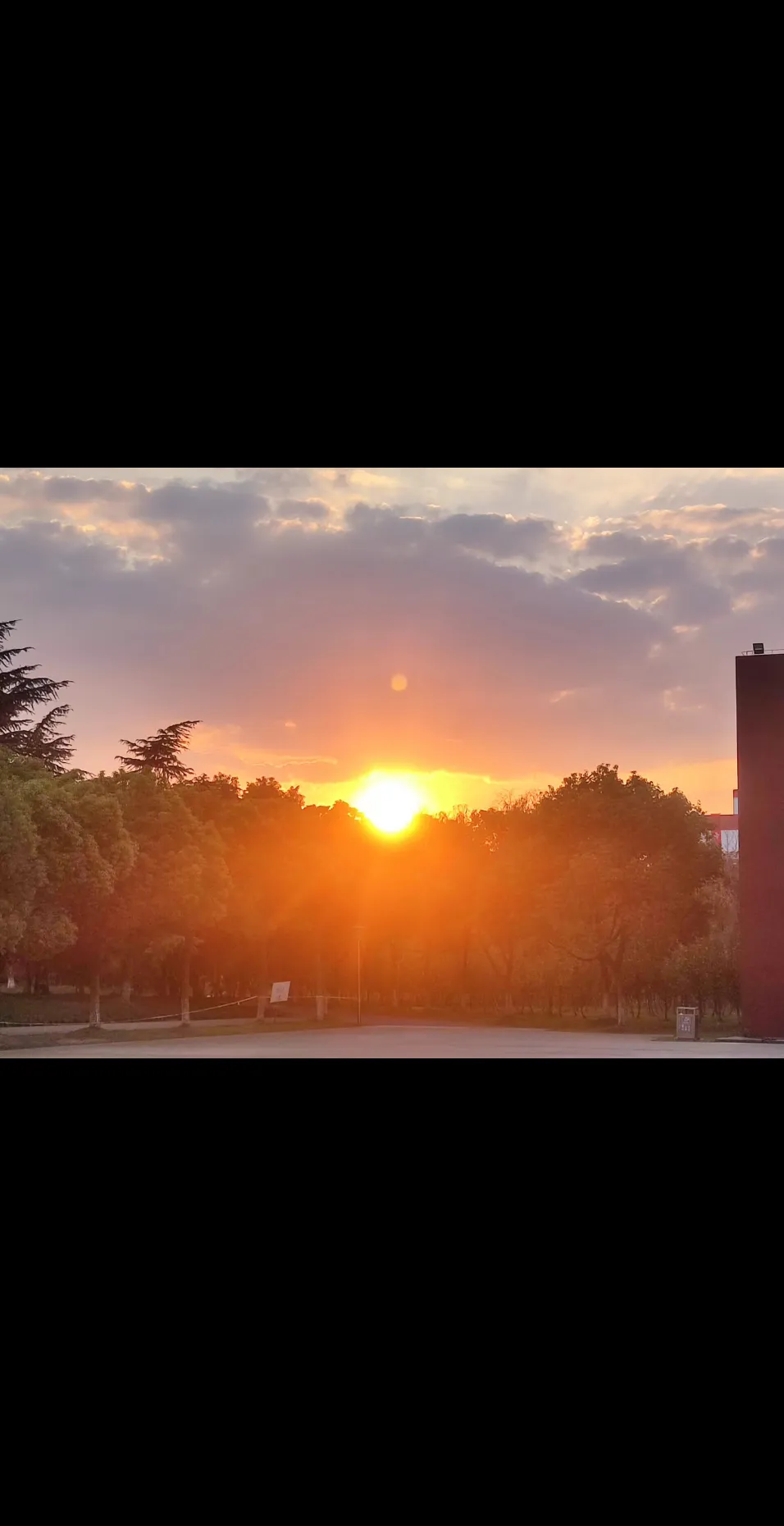 早上的苏州托普读书角,风景优美,一起来参与吧!