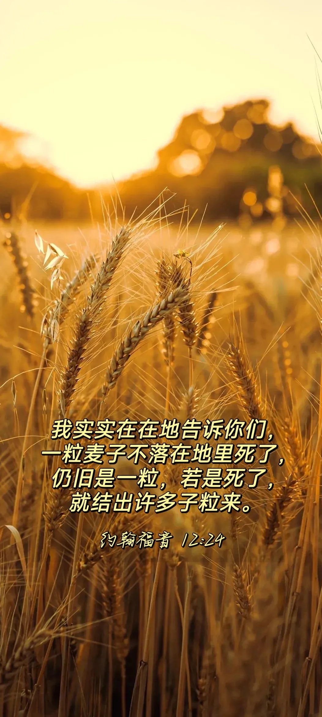 主开我们的眼睛的时候,就能看到,每一件事都是有意义的,主没有白作一