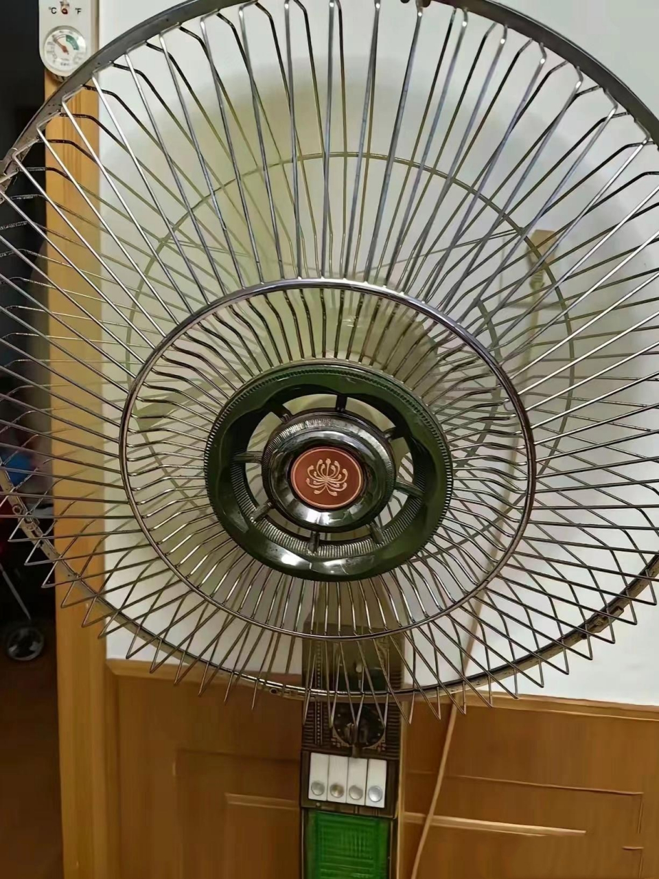 菊花电扇,风凉世界.