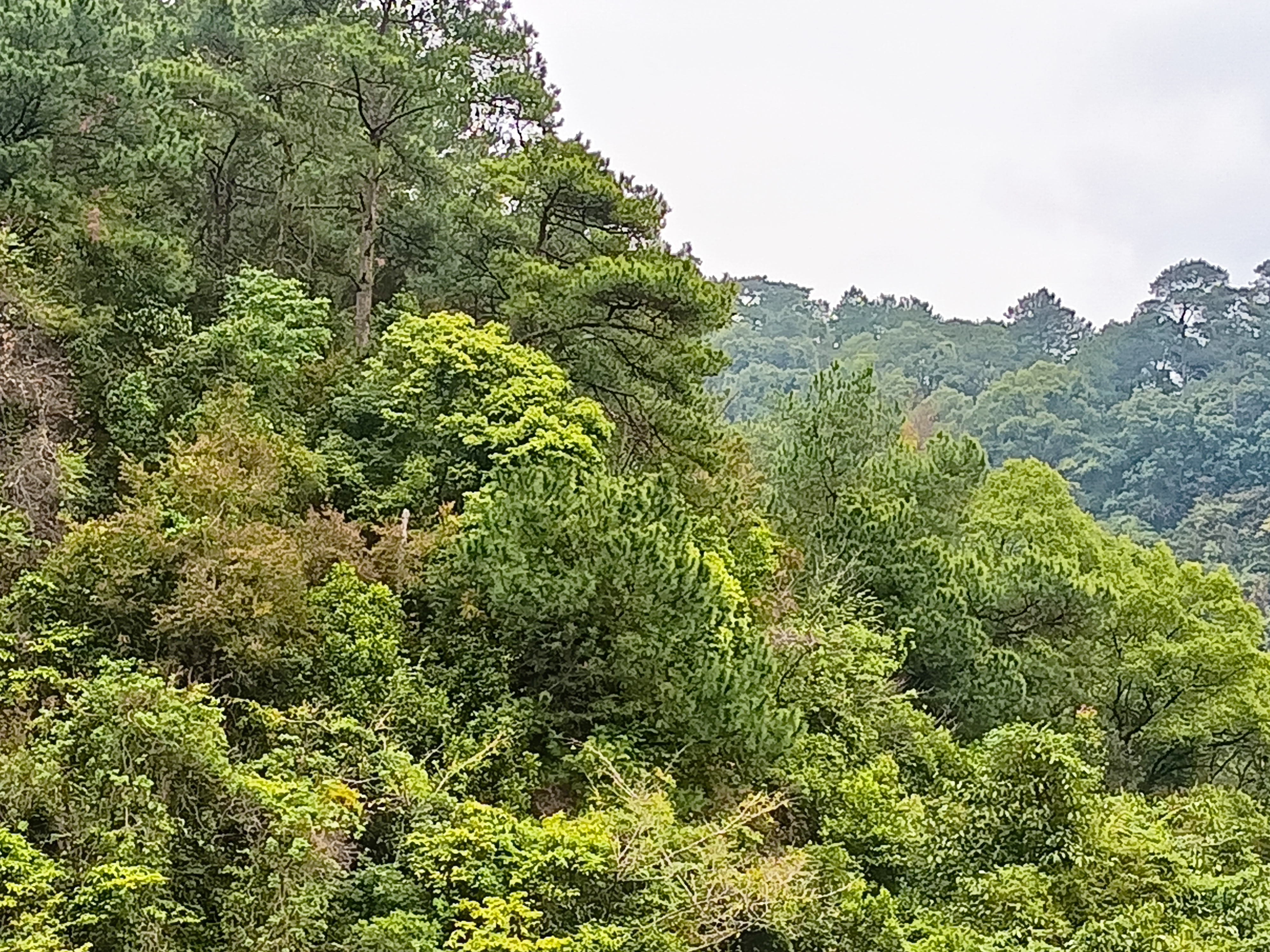 假期即将结束,来爱店公母山一游!