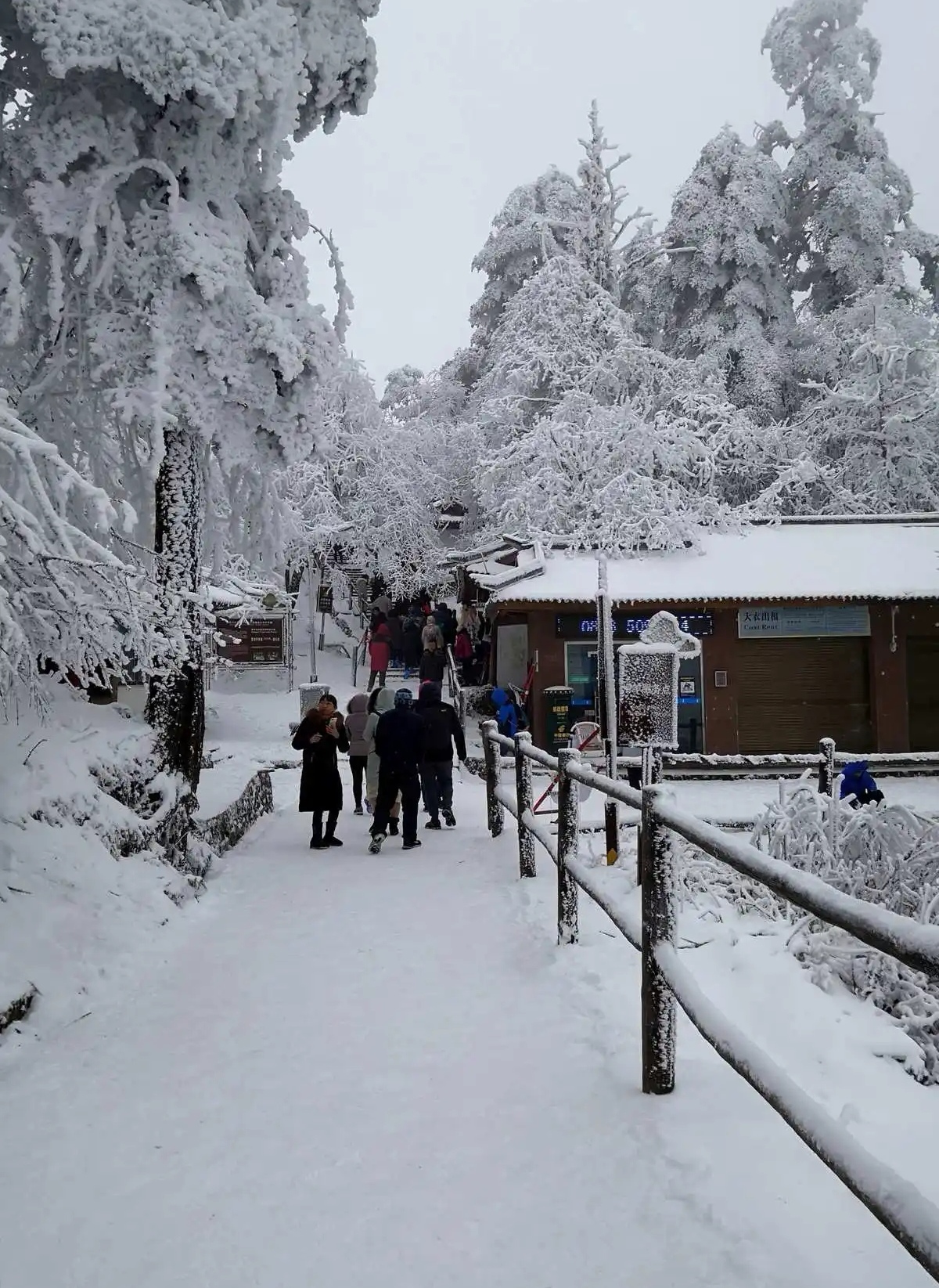 冬日特有的美景——白雪皑皑的峨眉山金顶,如诗如画的雪景令人心醉