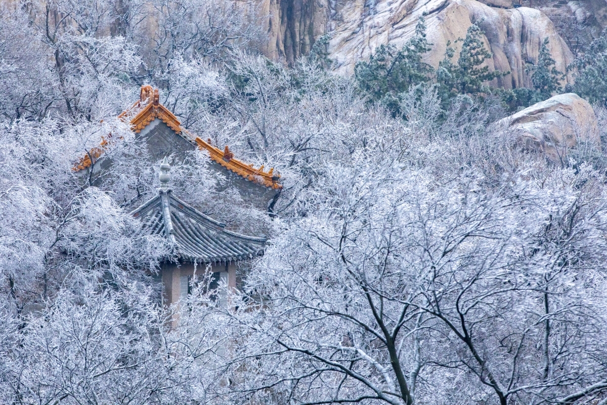 我踏着雪地,感受着冰冷,却也欣赏着这难得的雪景.