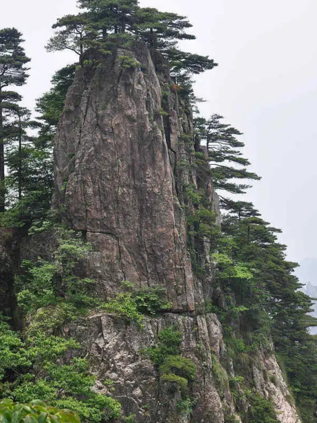 黄山奇峰·笔架峰:大自然的艺术画.@来小白4的动态