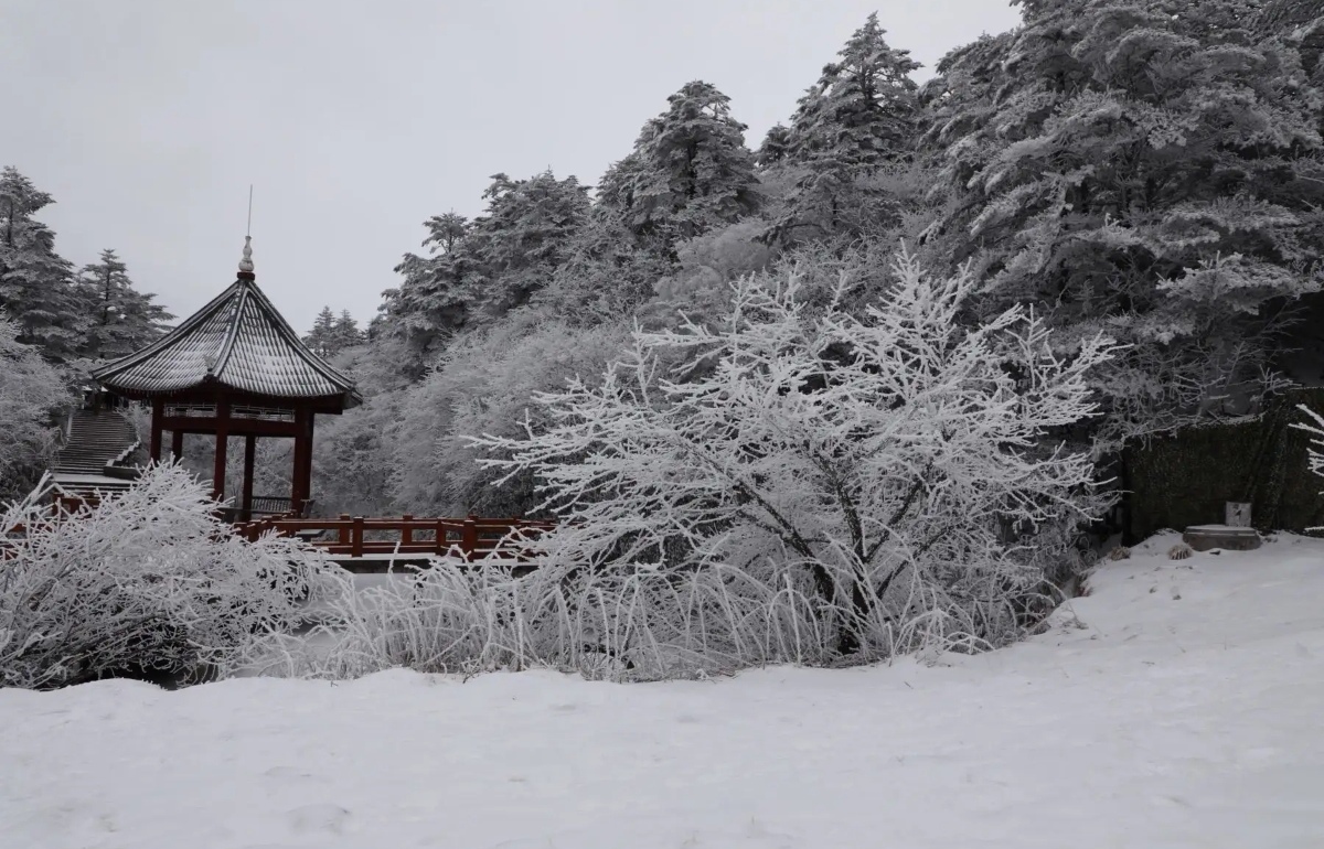 冬日特有的美景——白雪皑皑的峨眉山金顶,如诗如画的雪景令人心醉